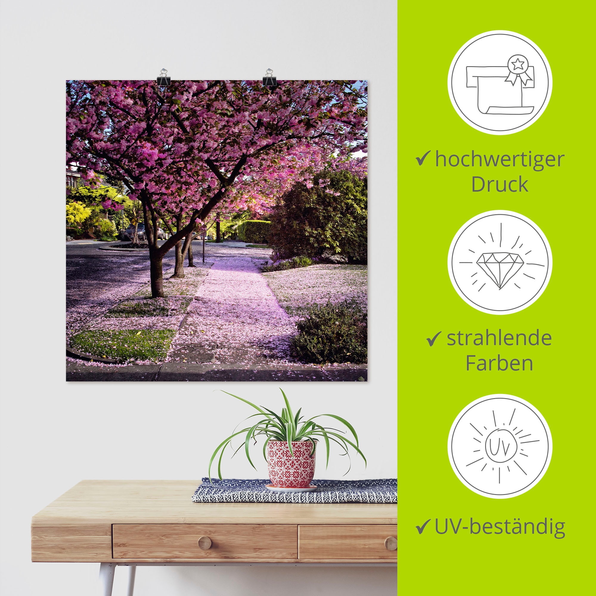 Artland Wandbild »Fallende Blütenblätter« Bäume 1 Stk. tlg. als Leinwandbild, Poster in verschied. Grössen