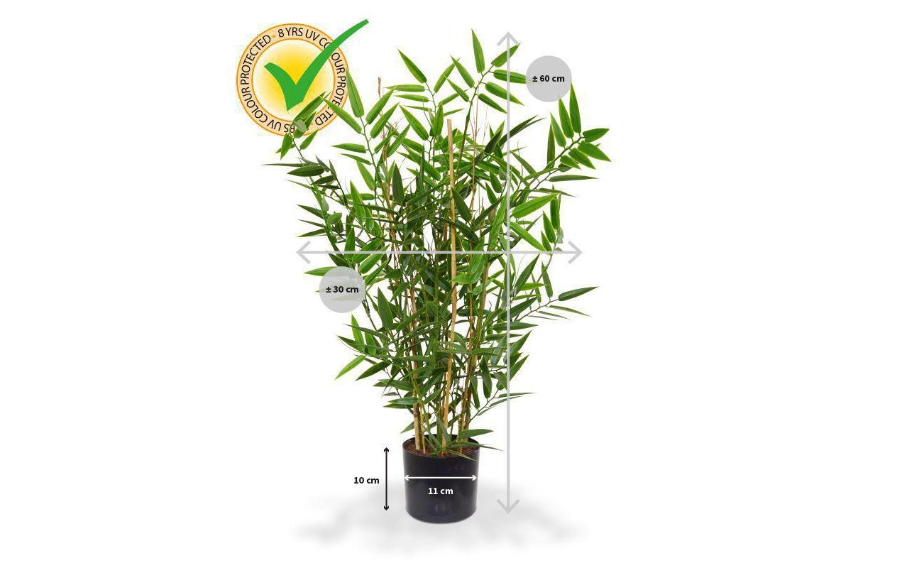 Botanic-Haus Fleur artificielle »Bambus Japanisch, UV-Bestand.«