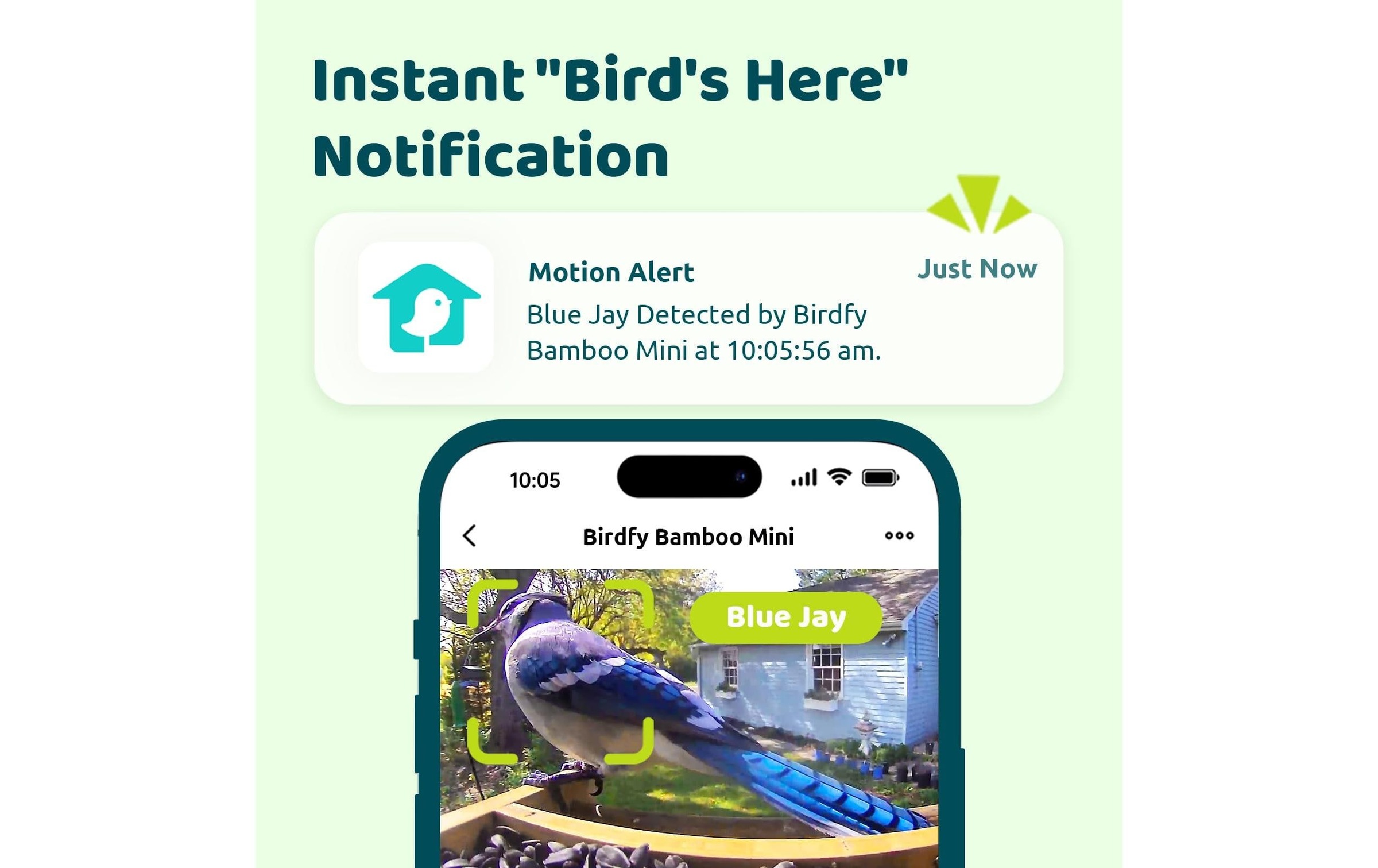 Birdfy Distributeur de nourriture »FSC Bambus Mini Solar«