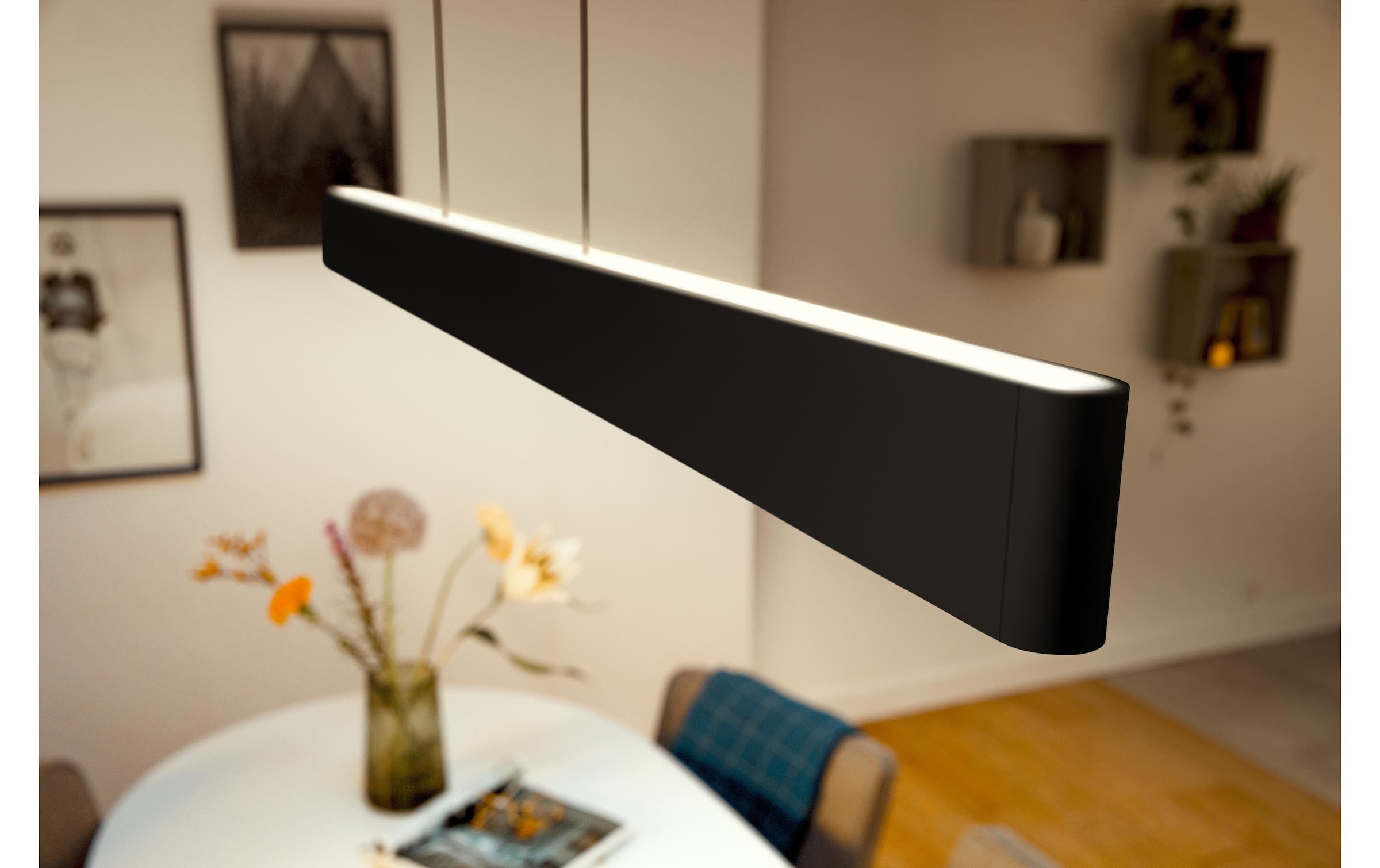 Philips Hue Lampe suspendue LED »White Col. Amb. Ensis Pendelleuchte und DimmSwitch« Module LED Blanc froid | RVB | blanc chaud | blanc neutre
