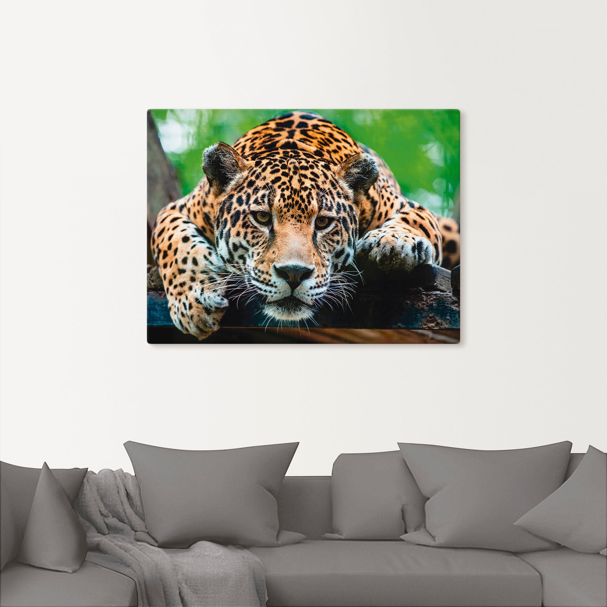 Artland Leinwandbild »Südamerikanischer Jaguar« Wildtiere 1 Stk. tlg. auf Holzrahmen gespannt