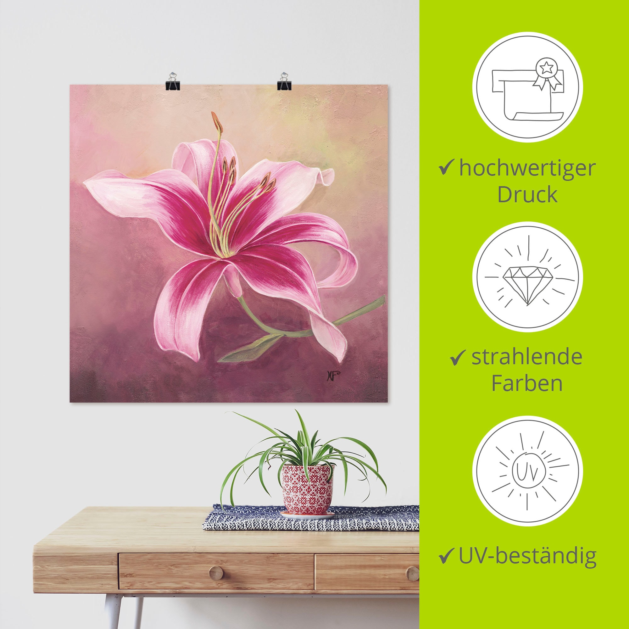 Artland Wandbild »Frühe Lilie« Blumen 1 Stk. tlg. als Leinwandbild, Poster in verschied. Grössen