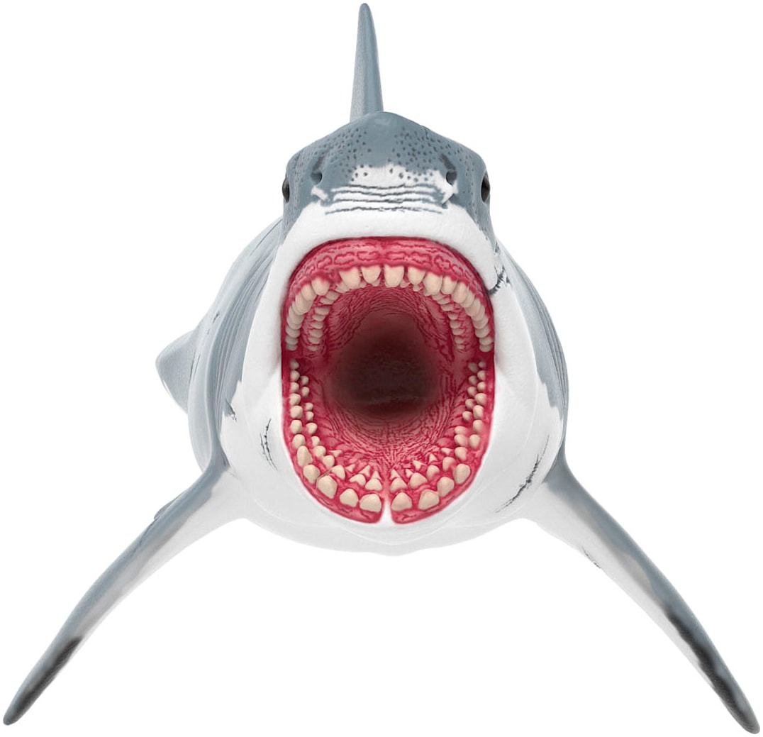 Schleich® Spielfigur »DINOSAURS, Megalodon  (15055)«
