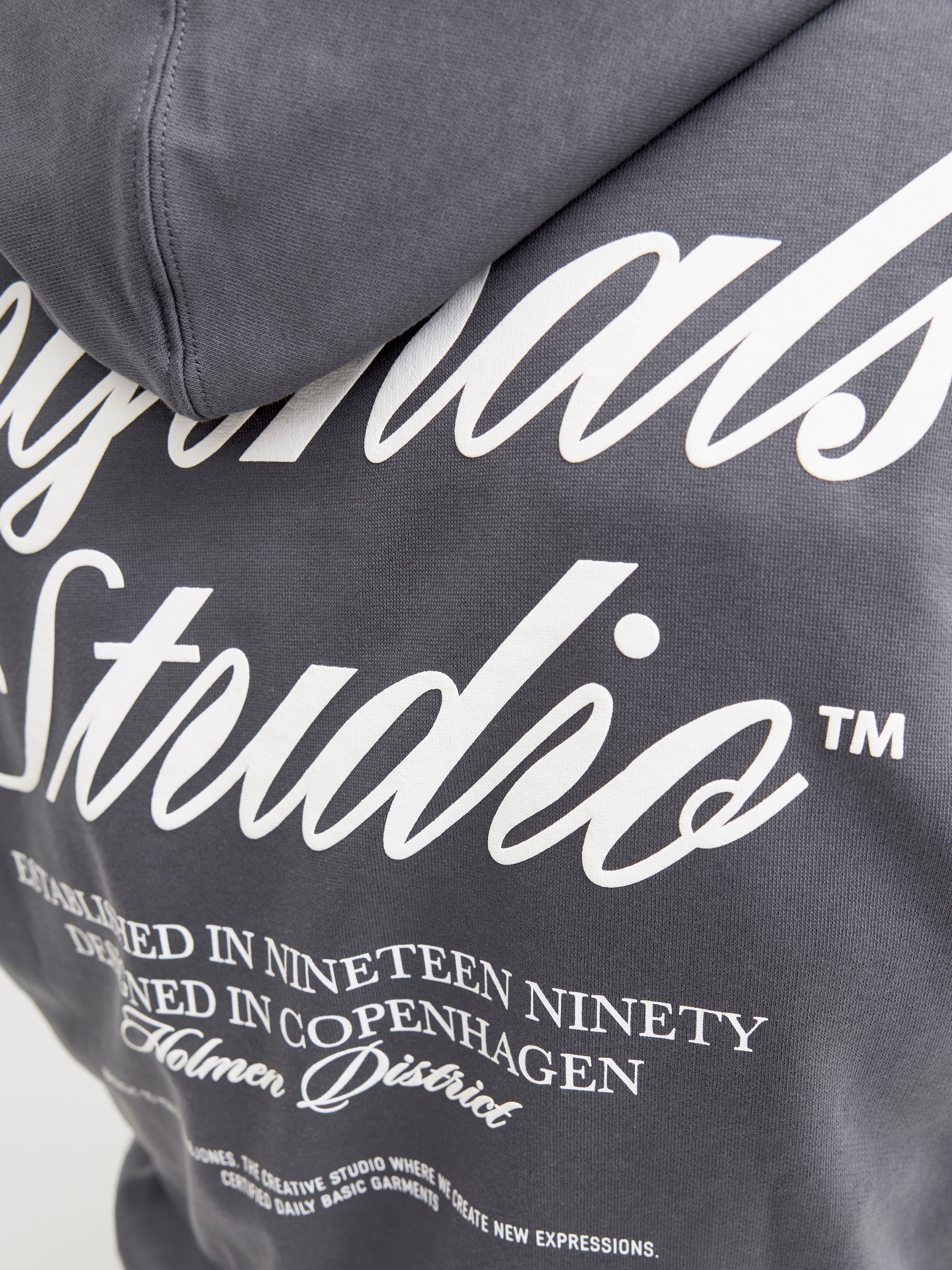 Jack & Jones PlusSize Kapuzensweatshirt »JORNORREBRO TYPO BACK SWEAT HOOD PLS«