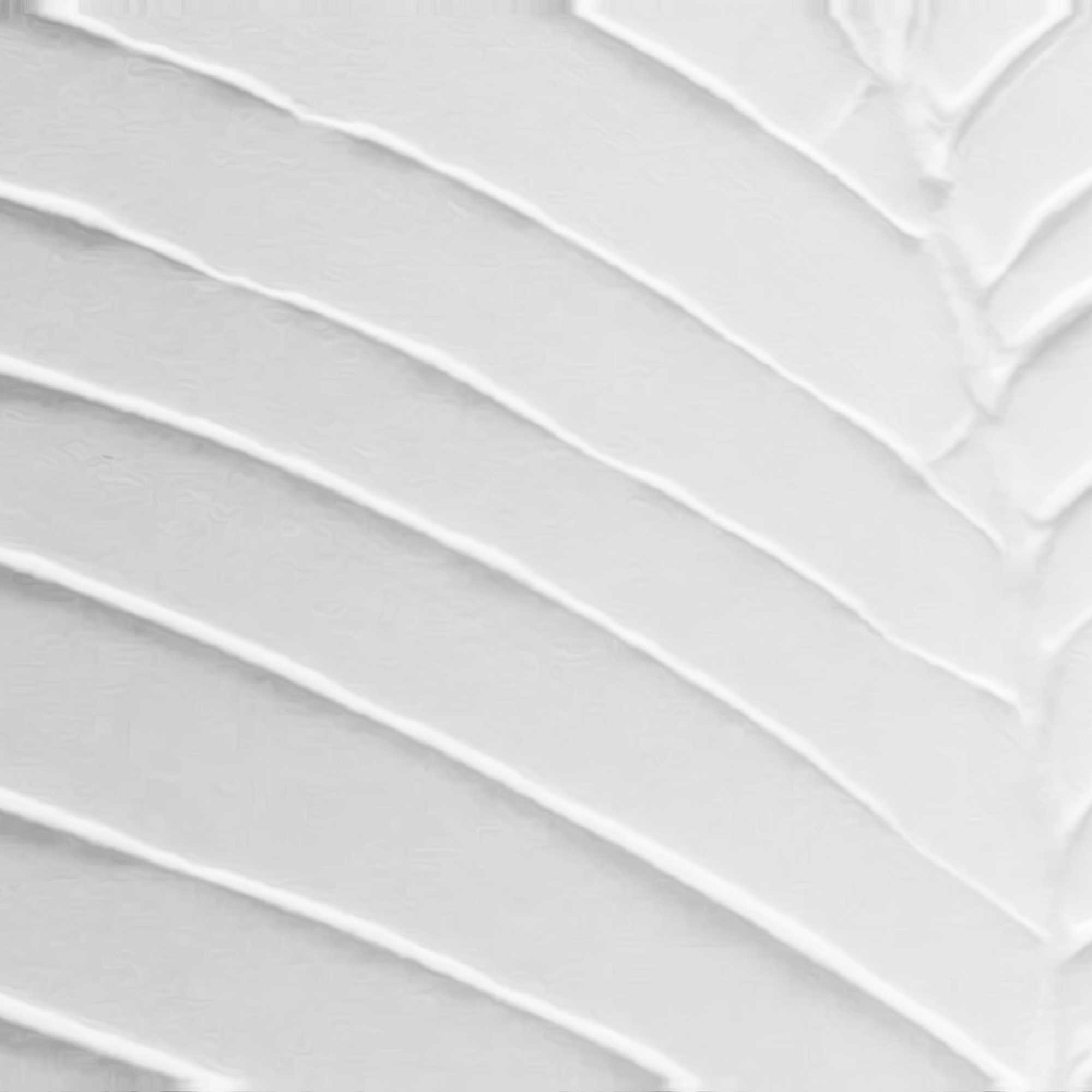 Reinders! Fresque murale »Blattadern« Wohnzimmer - Weiss - MDF - Blumen und Pflanzen - 30x40 cm