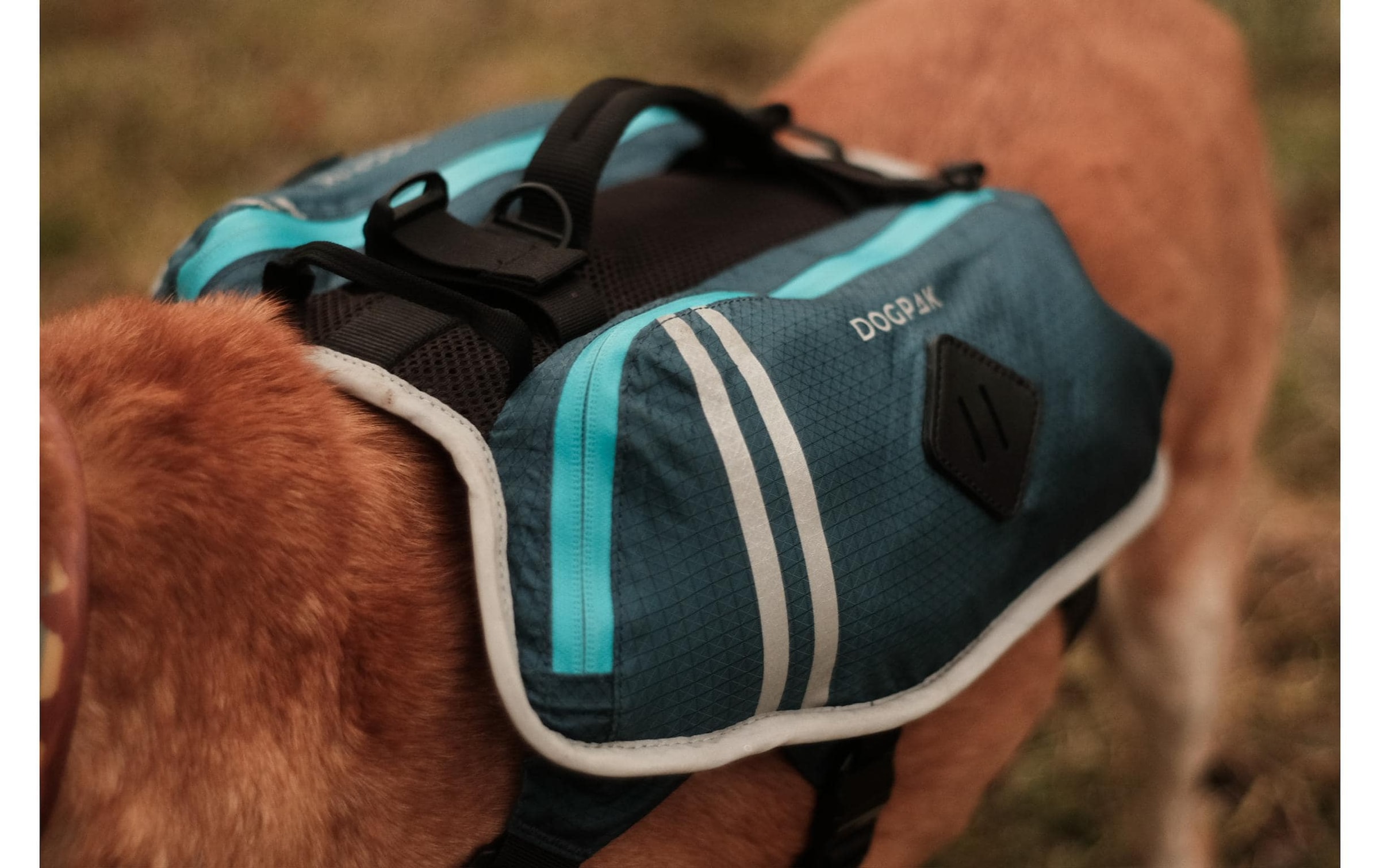   Harnais pour chien »DOGPAK Moab Lite Hunderucksack S« Rucksack und Wandergeschirr für Hunde aus «Die Höhle der Löwen»