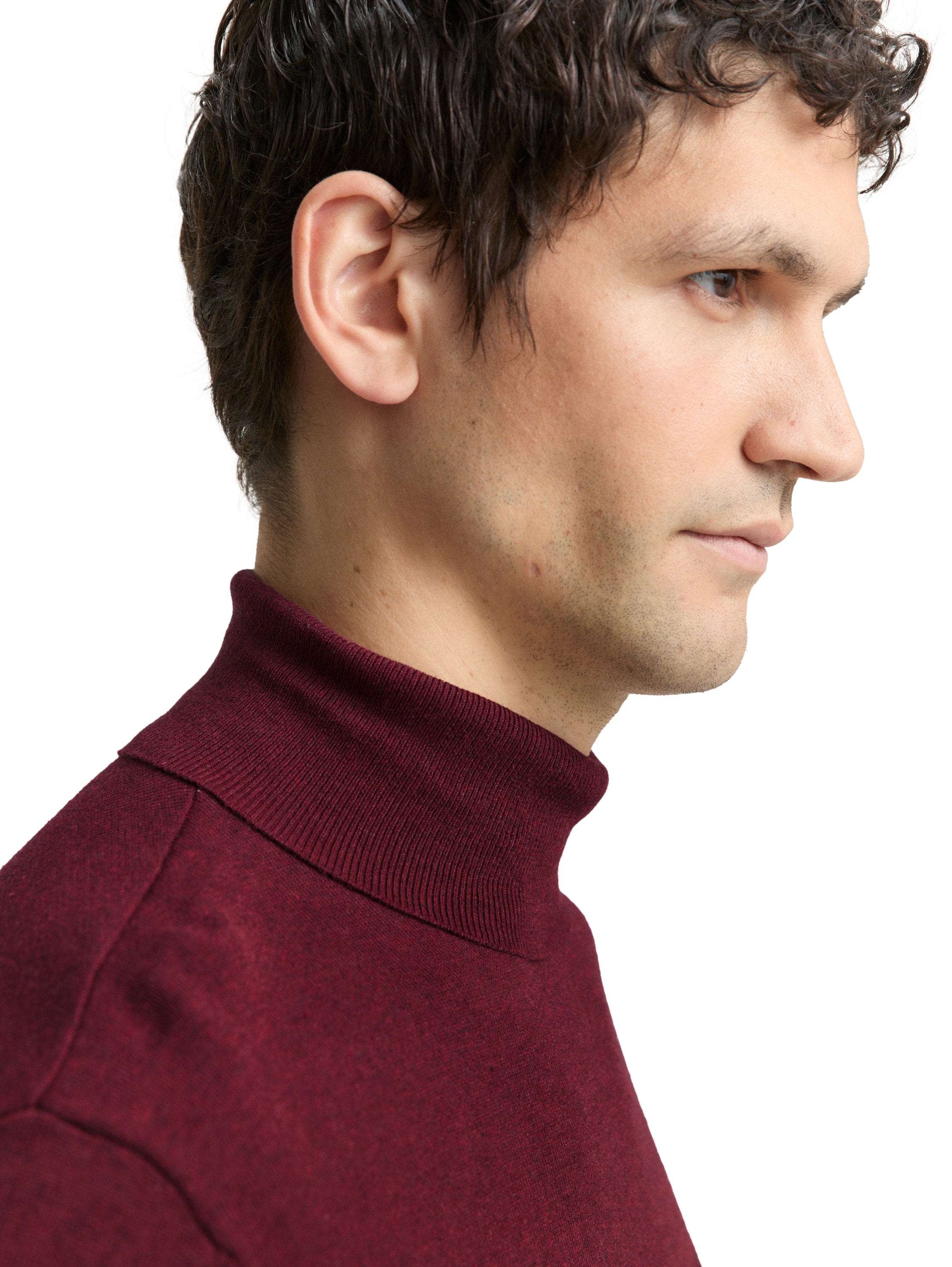 TOM TAILOR Rollkragenpullover im Strick-Design