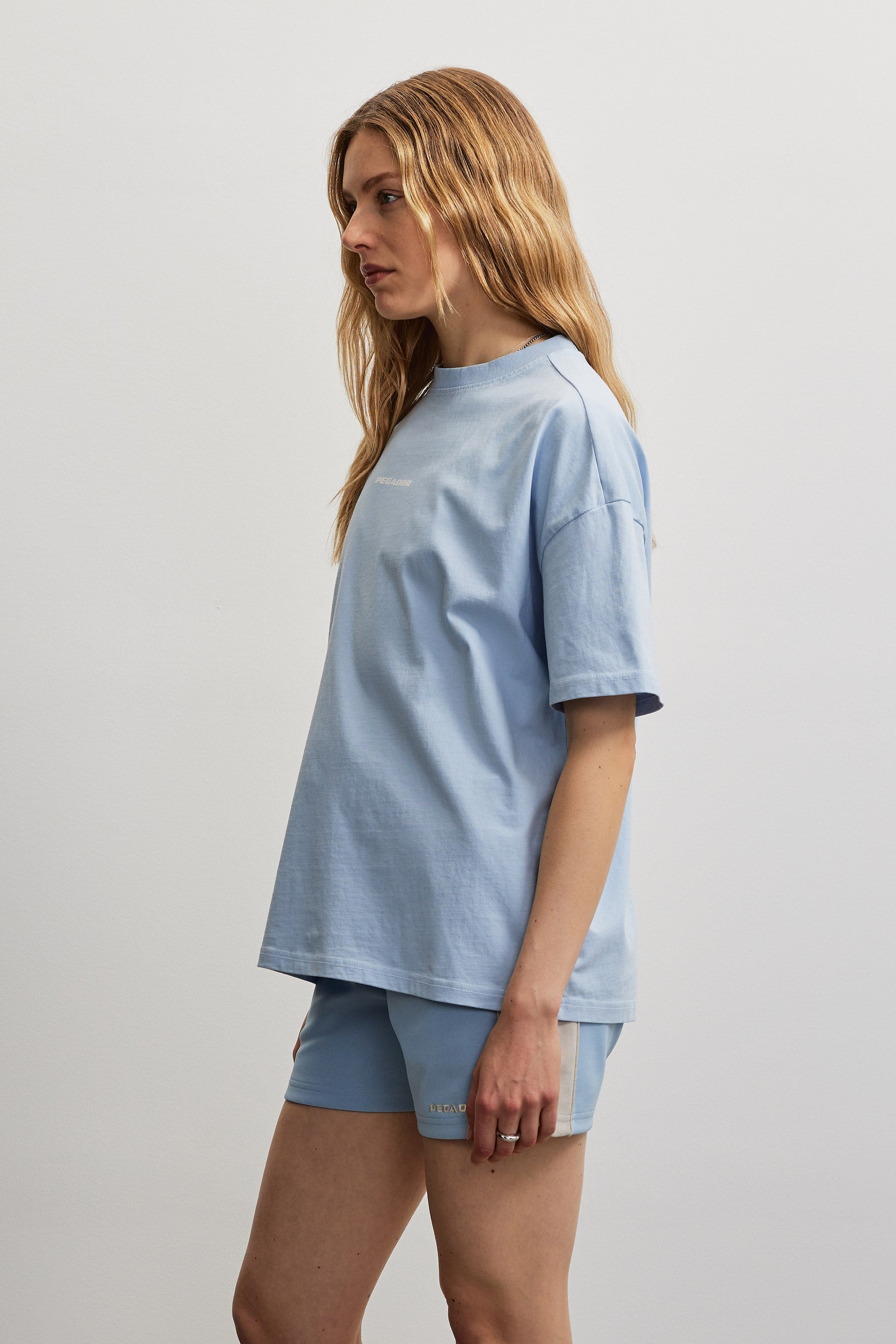 PEGADOR T-shirt »ARENDAL LOGO HEAVY OVERSIZED TEE«