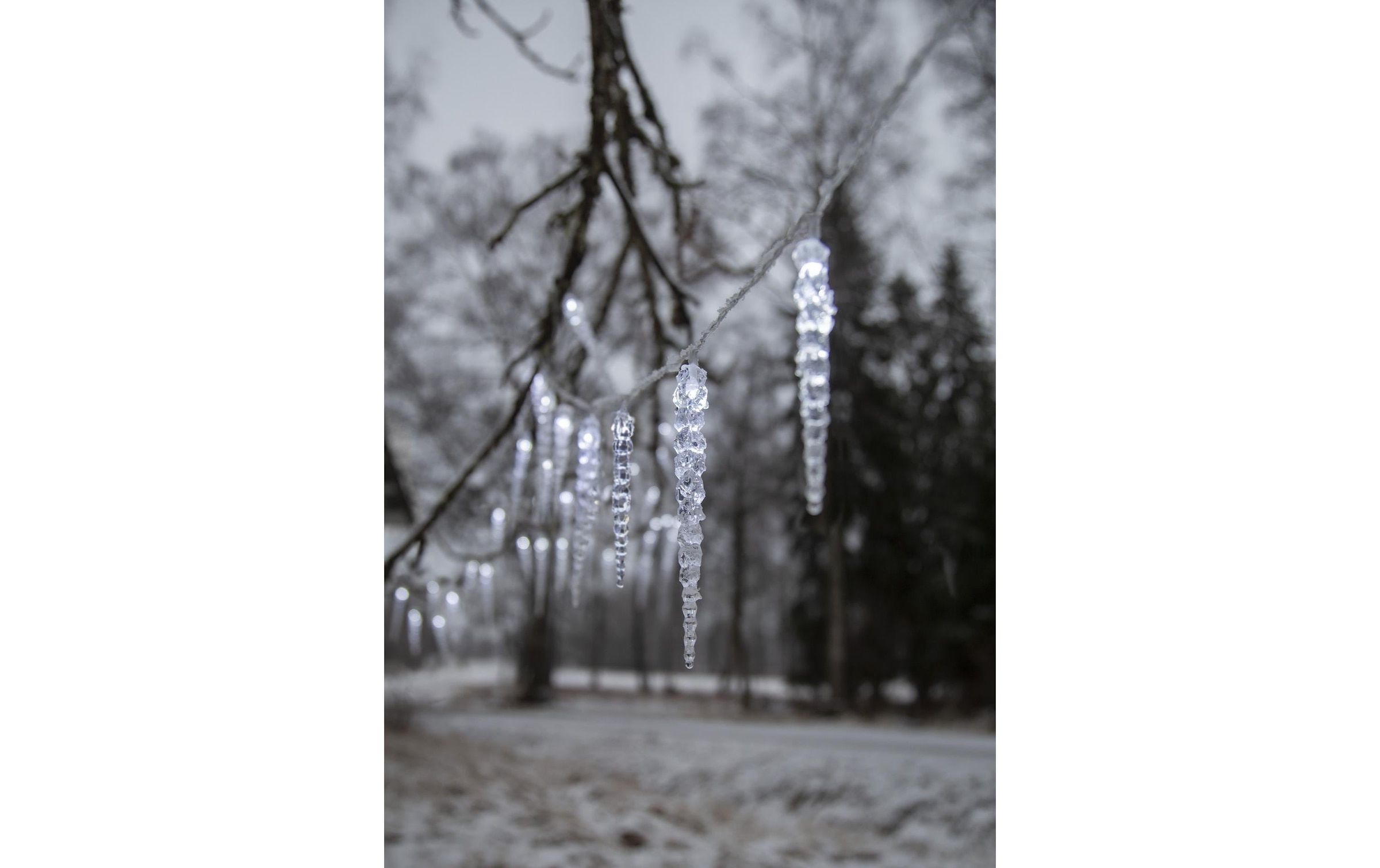 Parforce Traditional Hunting LED-Lichtervorhang »Trading LED-Lichtervorhang Gel« 40 Stk.-flammig