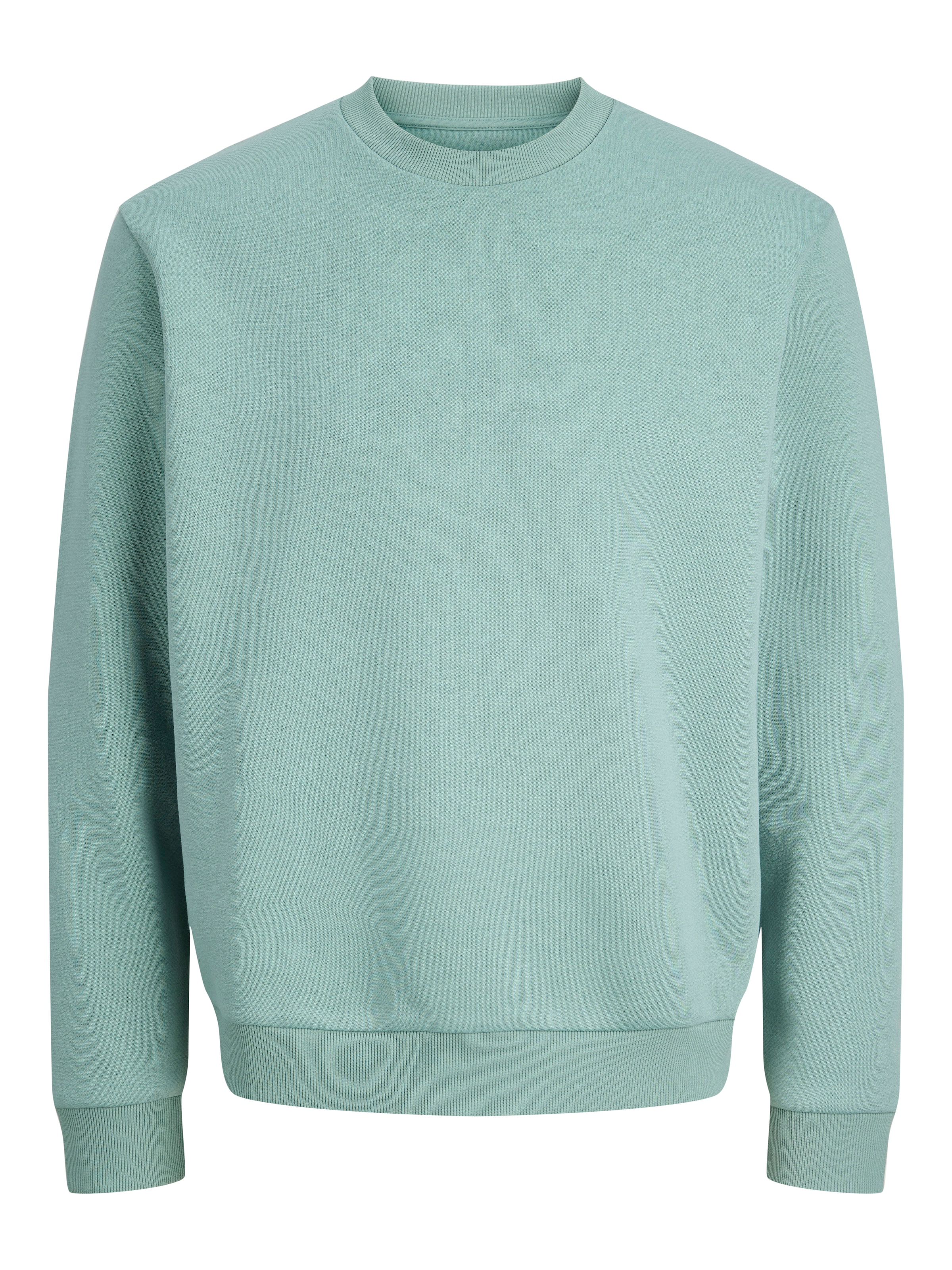Jack & Jones PlusSize Sweatshirt »JJEBRADLEY SWEAT CREW NOOS PLS«, mit Rippbündchen
