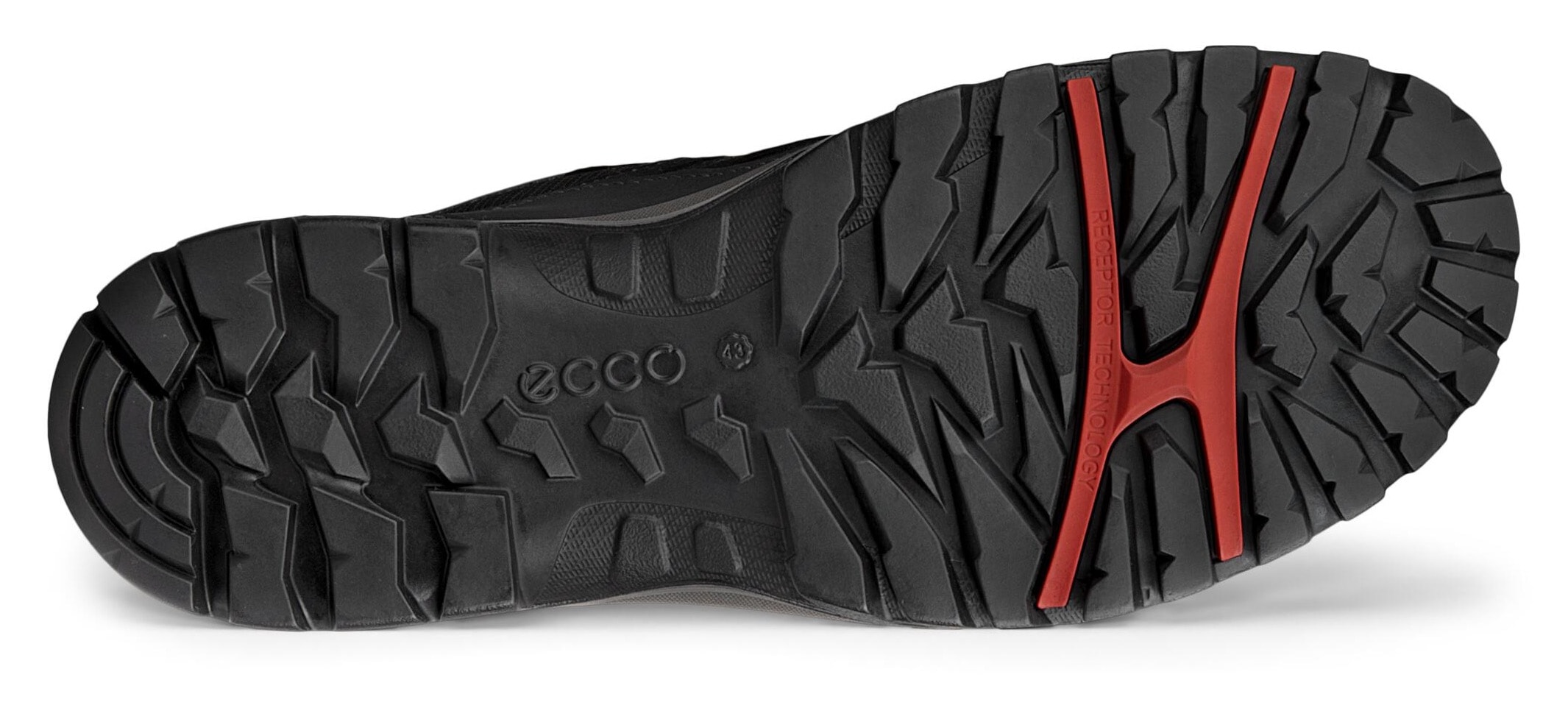 Ecco Schnürschuh »XPEDITION 3 M«  mit GORE-TEX, Outdoorschuh, Halbschuh, Schnürschuh