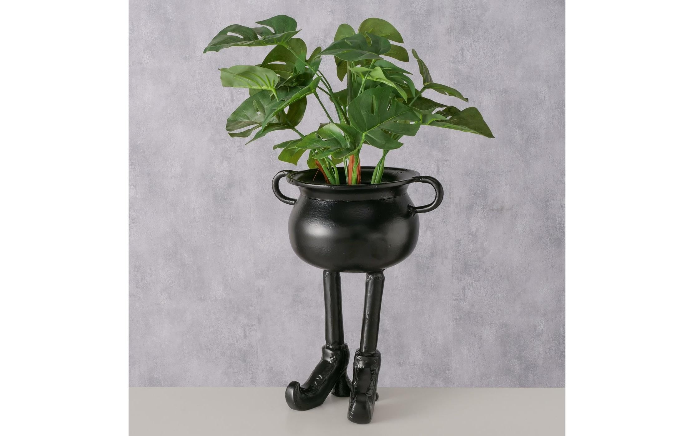 BOLTZE »Schale Heraldo 31 cm«