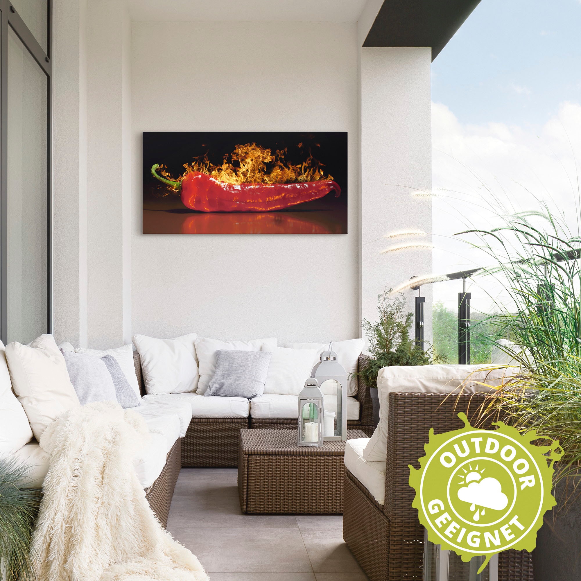 Artland Wandbild »Roter scharfer Chilipfeffer« Lebensmittel 1 Stk. tlg. als Alubild, Leinwandbild in verschied. Grössen