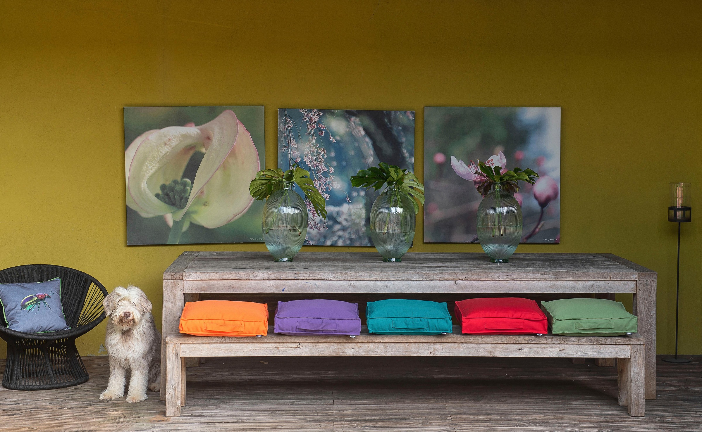 H.O.C.K. Sitzkissen »Classic Uni« 50/50 cm