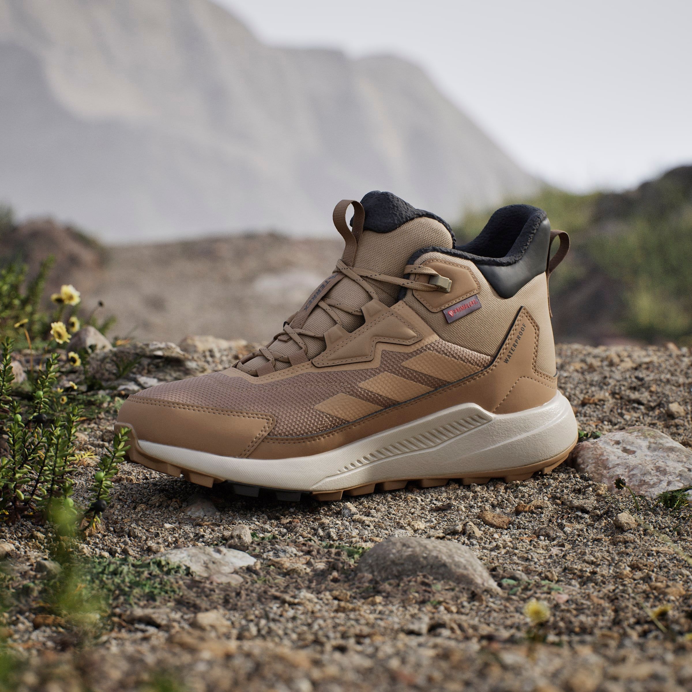 adidas TERREX Wanderschuh »TERREX ANYLANDER CLIMAWARM+ E«