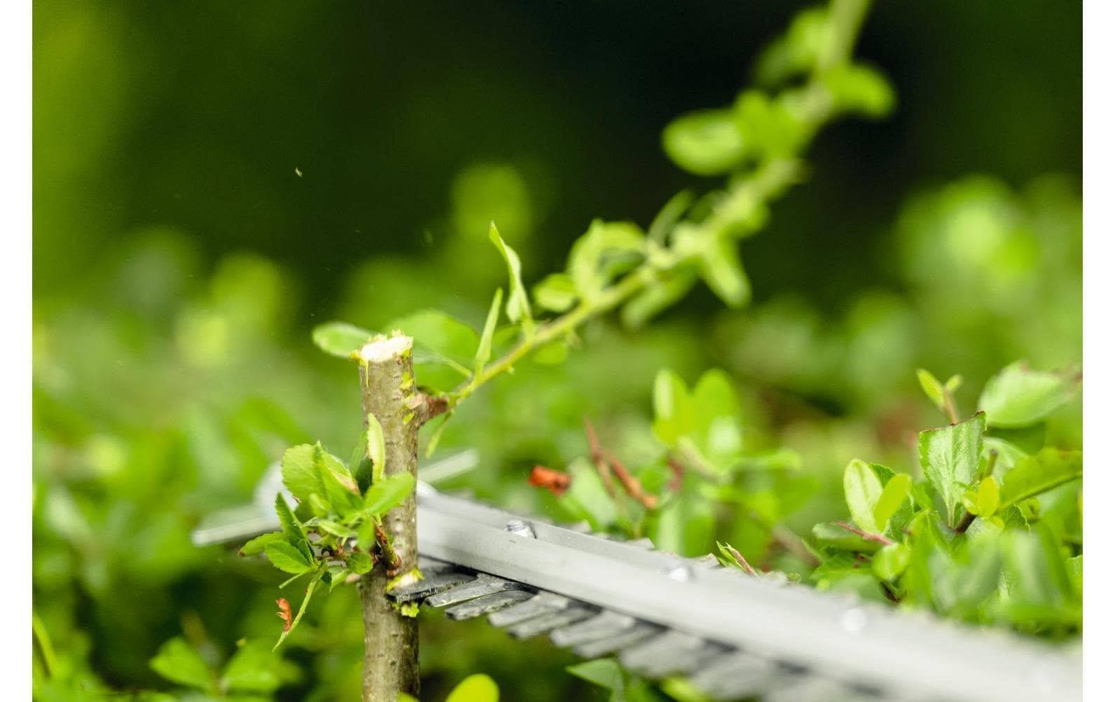 Bosch Professional Akku-Heckenschere »GHE18V-50FP« (ohne Akku und Ladegerät, )  Stabheckenschere zum Trimmen von hohen Hecken und kleineren Büschen