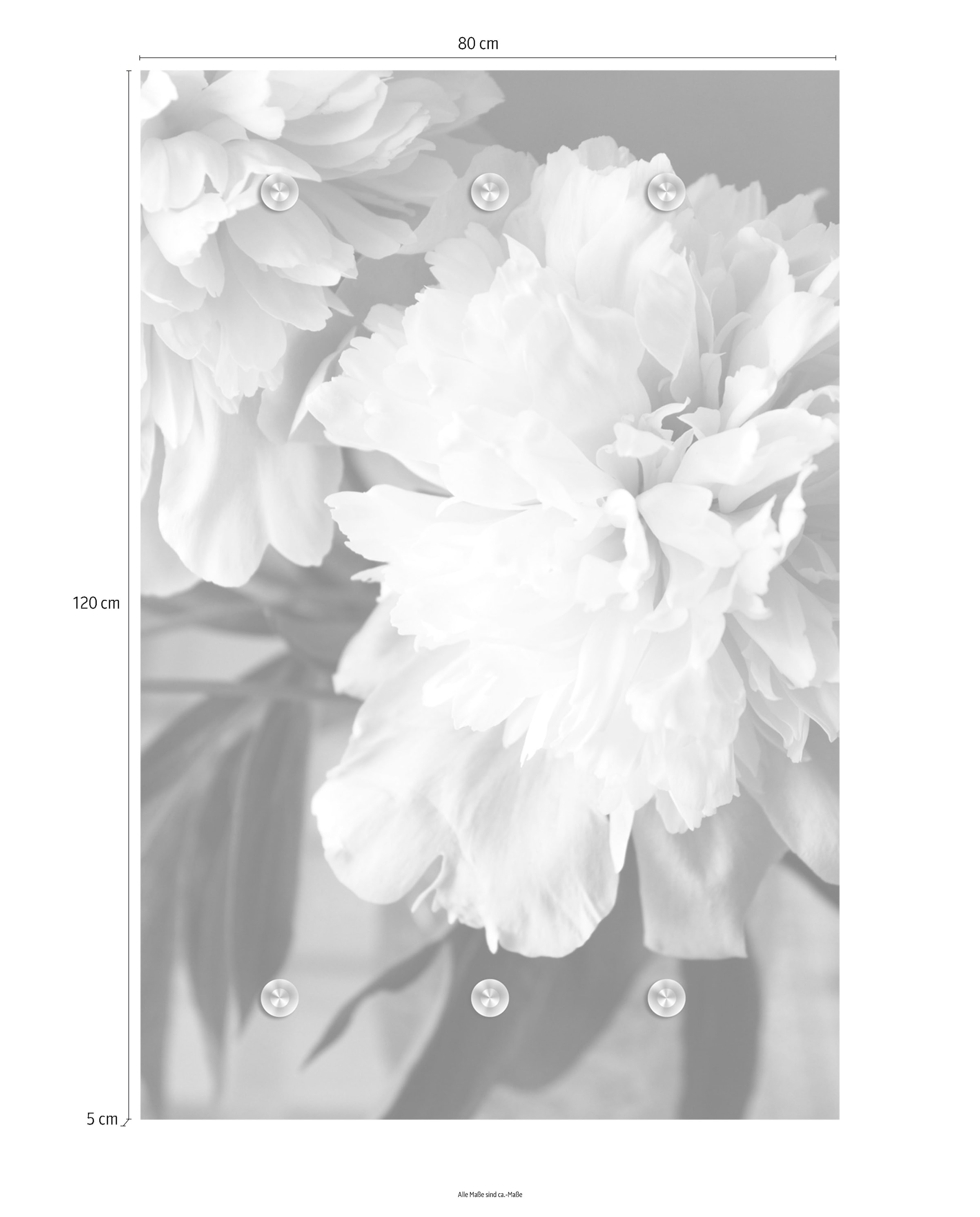 queence Garderobenleiste »Blume« mit 6 Haken, 80 x 120 cm