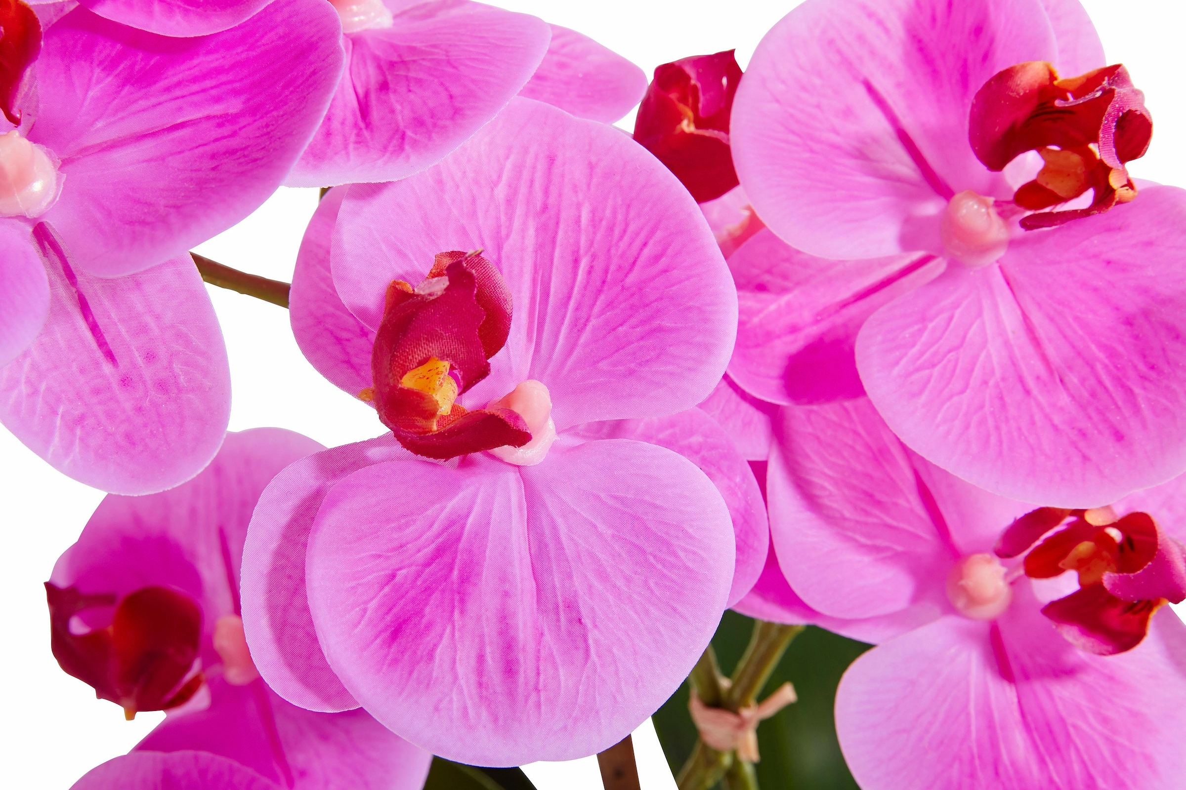 Leonique Plante artificielle »Orchidee« Kunstorchidee, im Topf, Bestseller, über 2500 4,5-Sterne-Bewertungen