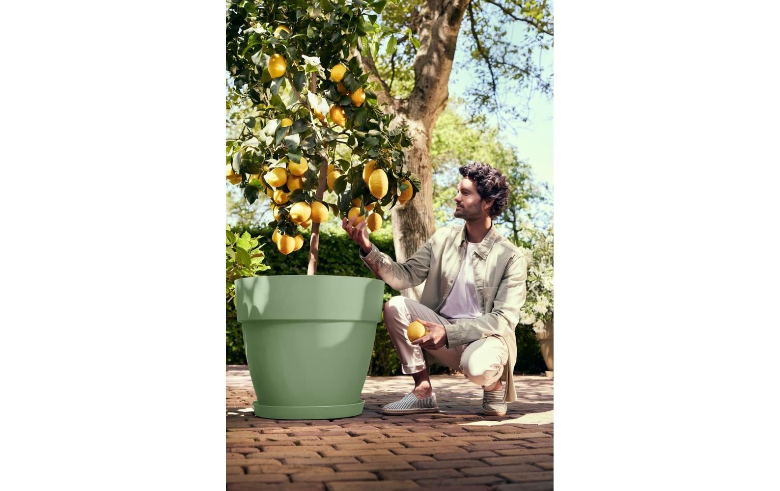 Elho Pot de fleurs »Vibia Campana Rund«