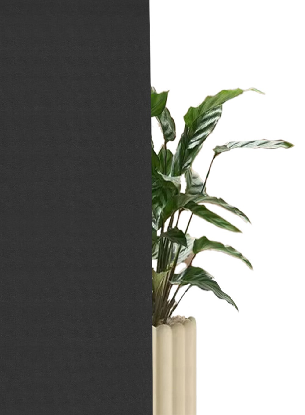 my home Seitenzugrollo »THEMSE« abdunkelnd Sichtschutz | Verdunkelung | energiesparend ohne Bohren freihängend Bestseller mit über 3000 4,5-Sterne-Bewertungen, Klemmträger