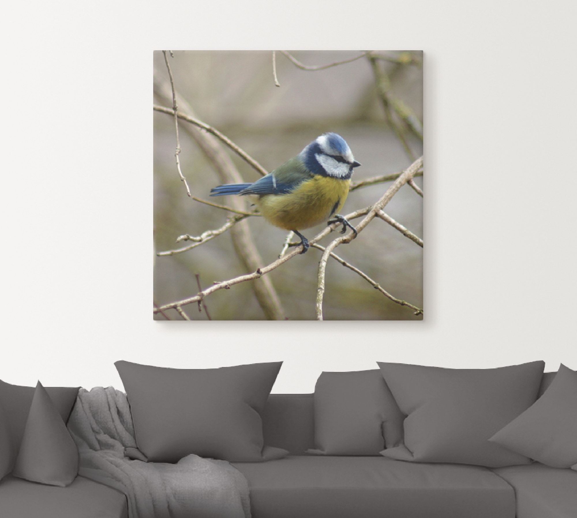 Artland Tableau sur toile »Blaumeise« 1 cuis tlg. auf Holzrahmen gespannt