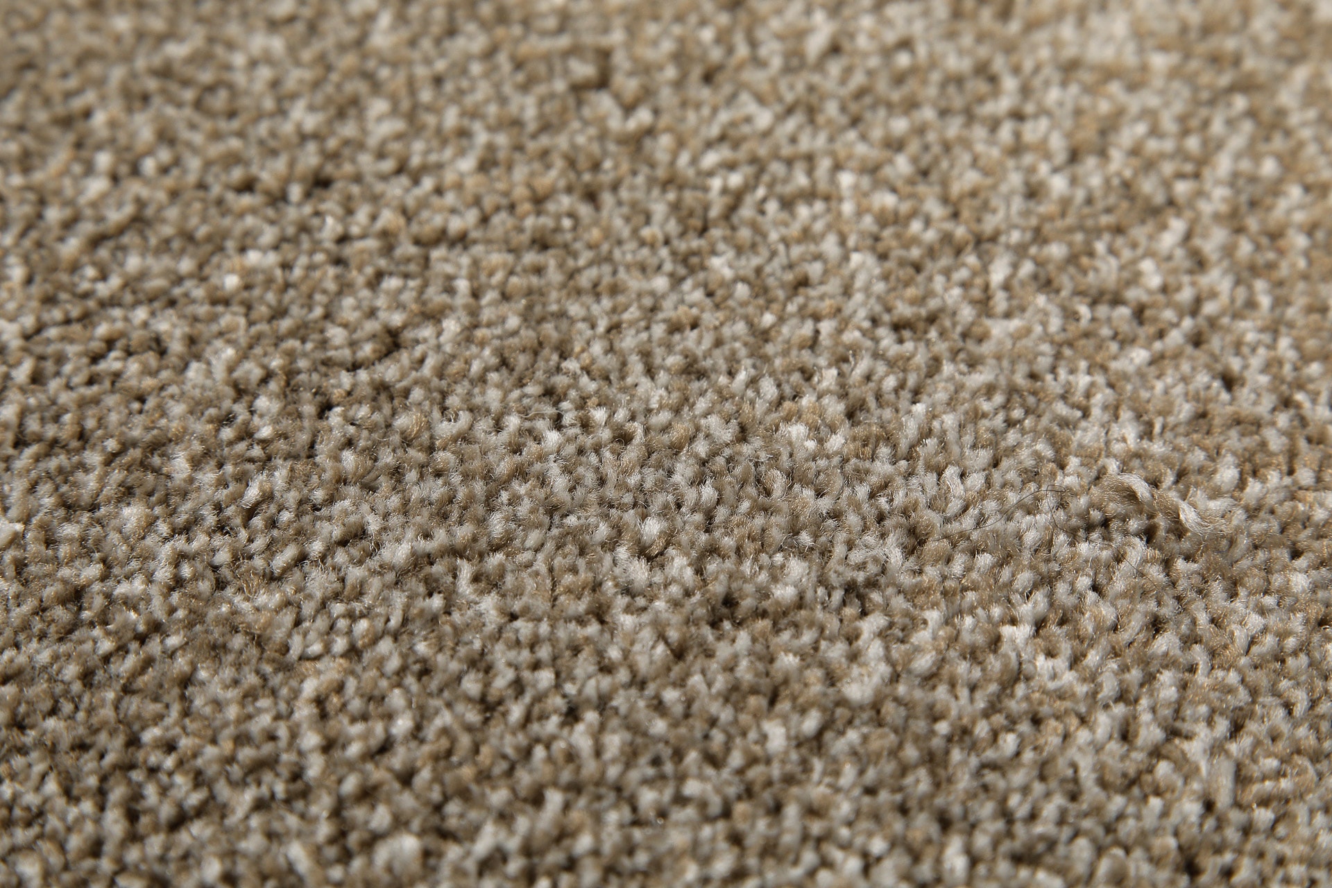 Wecon home Tapis »Tim« Rectangulaire 12 mm Höhe einfarbig, meliert, modern, pflegeleicht, Wohnzimmer, Schlafzimmer