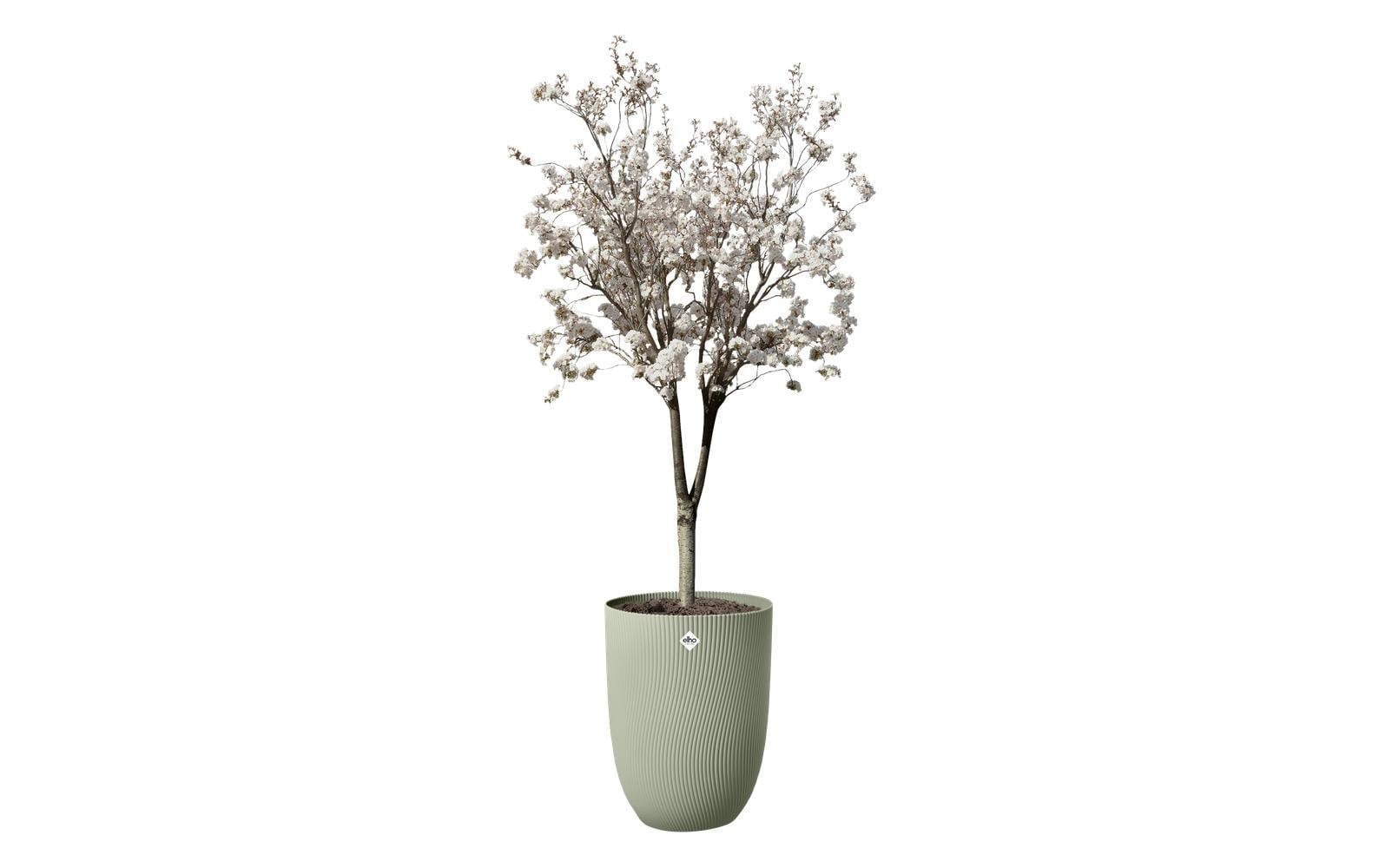 Elho Pot de fleurs »Sereh Hoch 40 cm«