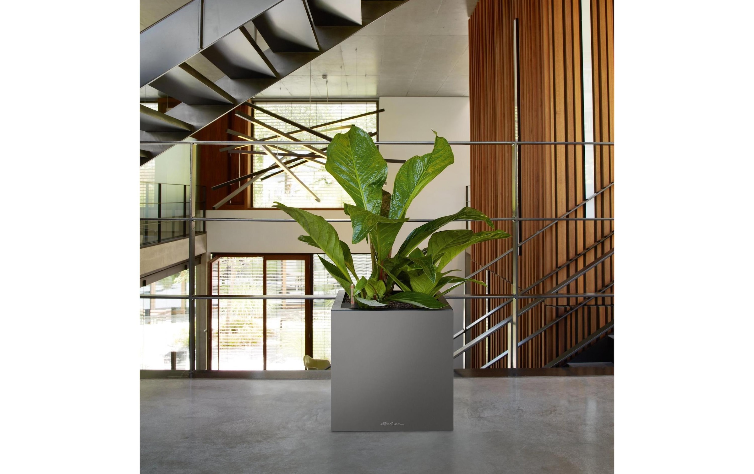   Bac à plantes »Lechuza CANTO Premium 40 low«