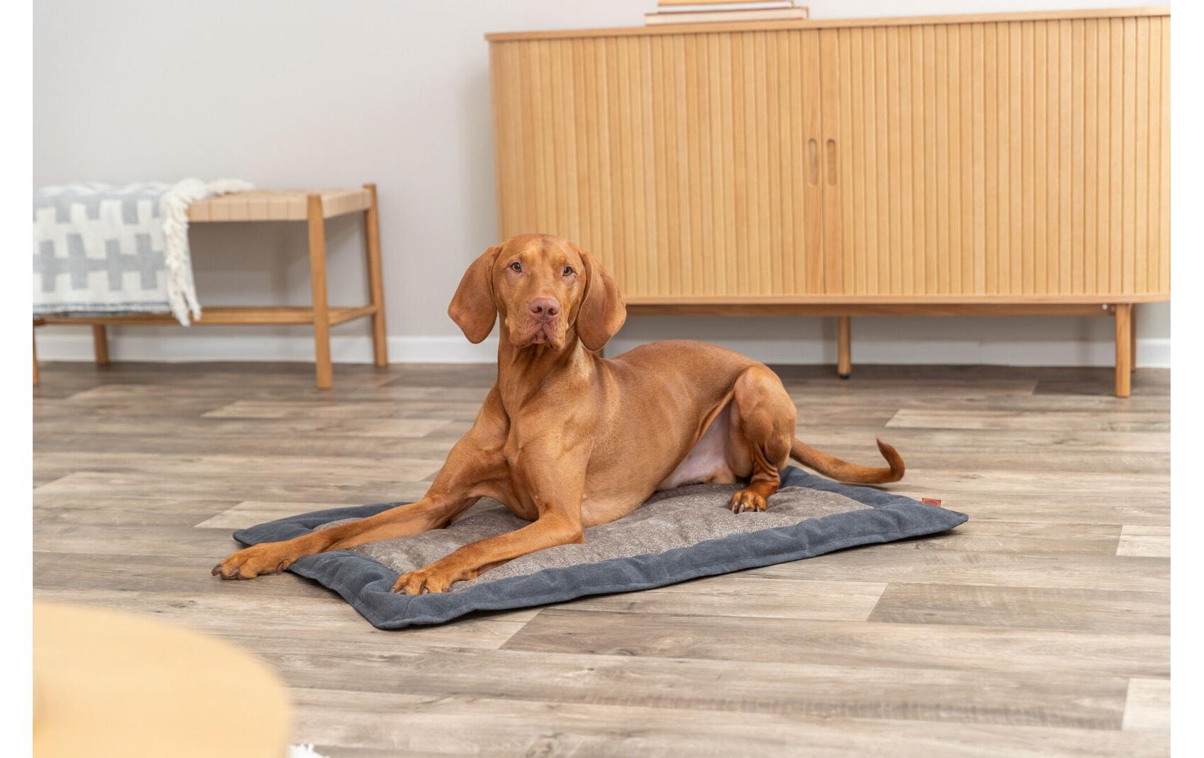 TRIXIE Hundematte »Föhr 100 x 70 cm«