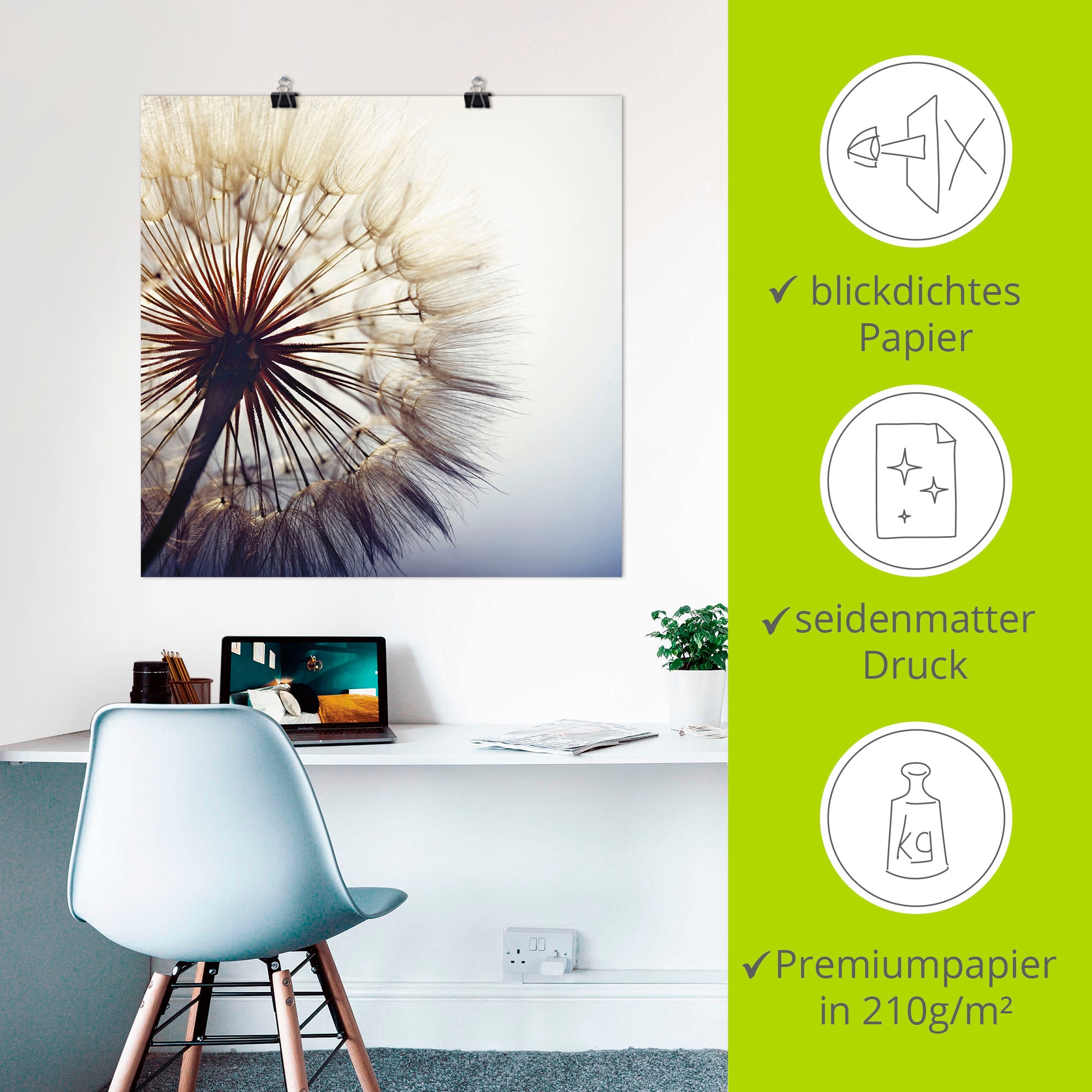 Artland Wandbild »Grosse Pusteblume« Blumen 1 Stk. tlg. als Alubild, Outdoorbild, Leinwandbild, Poster, Wandaufkleber