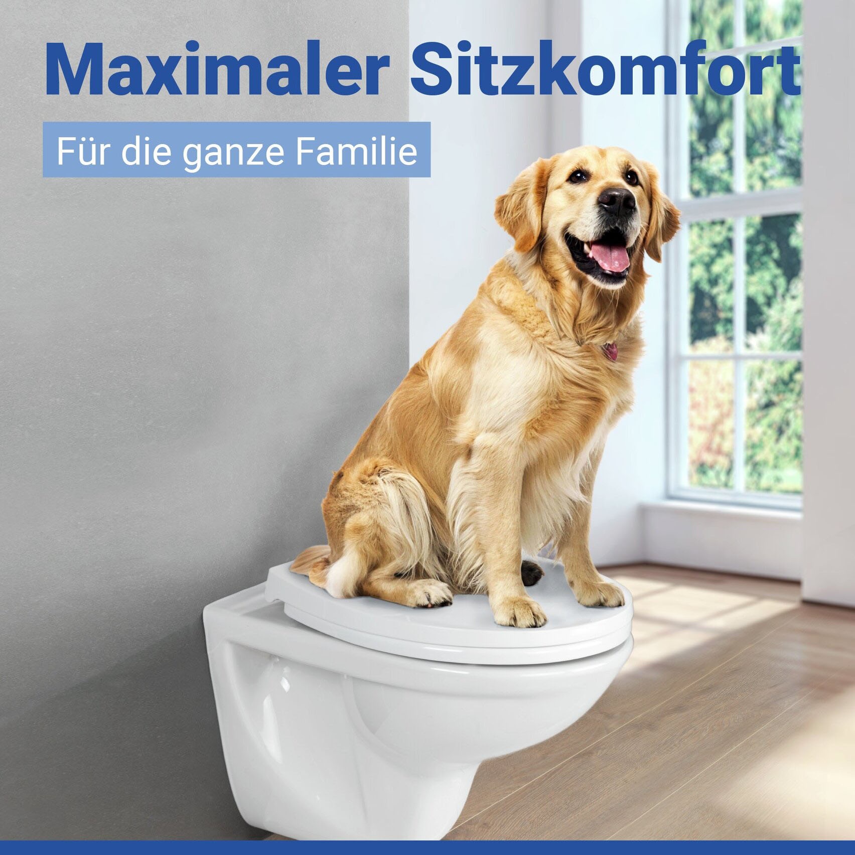 WENKO WC-Sitz »Ostuni« 1 Stk. tlg. Thermoplast, belastbar mit 300 kg, mit Absenkautomatik