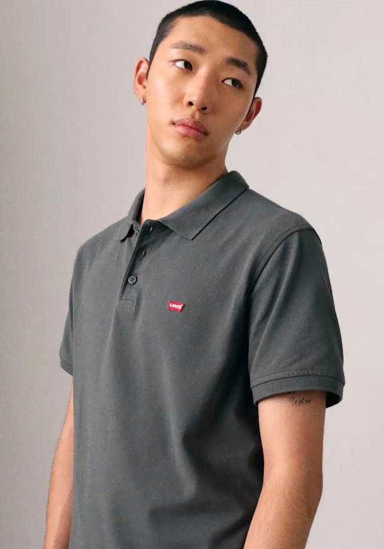 Levi's® Poloshirt »LE NEW LEVIS HM POLO« mit kleinem Batwing-Logo