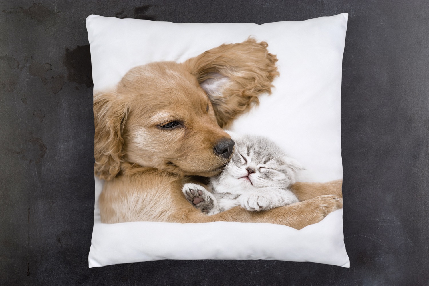 queence Dekokissen »Welpe mit Katze« Kissenhülle mit HD Premium Druck, geruchsneutral, 40x40cm
