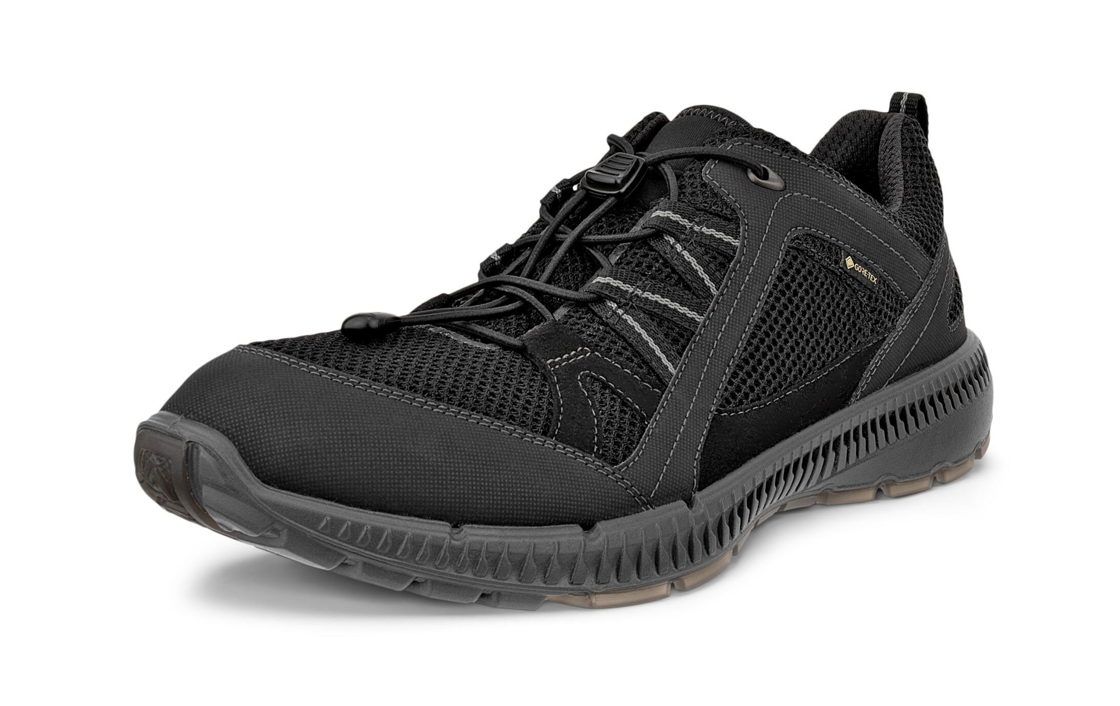 Ecco Sneakers »TERRACRUISE 2 M«  mit GORE-TEX