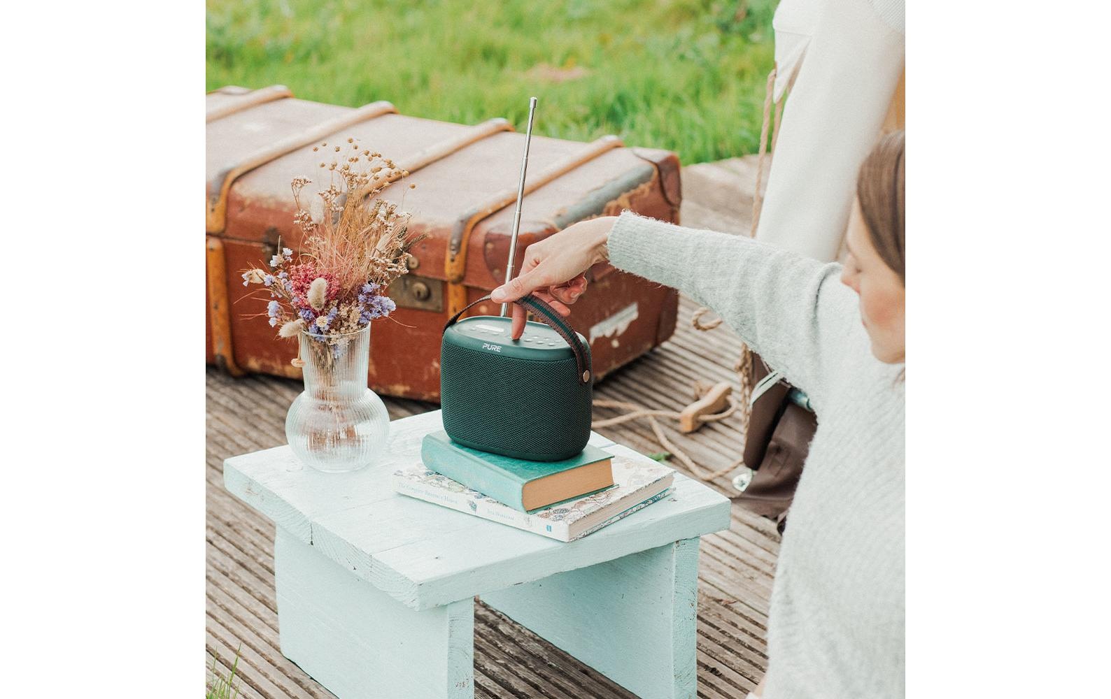 Pure Radio »Woodland Grün« ( )