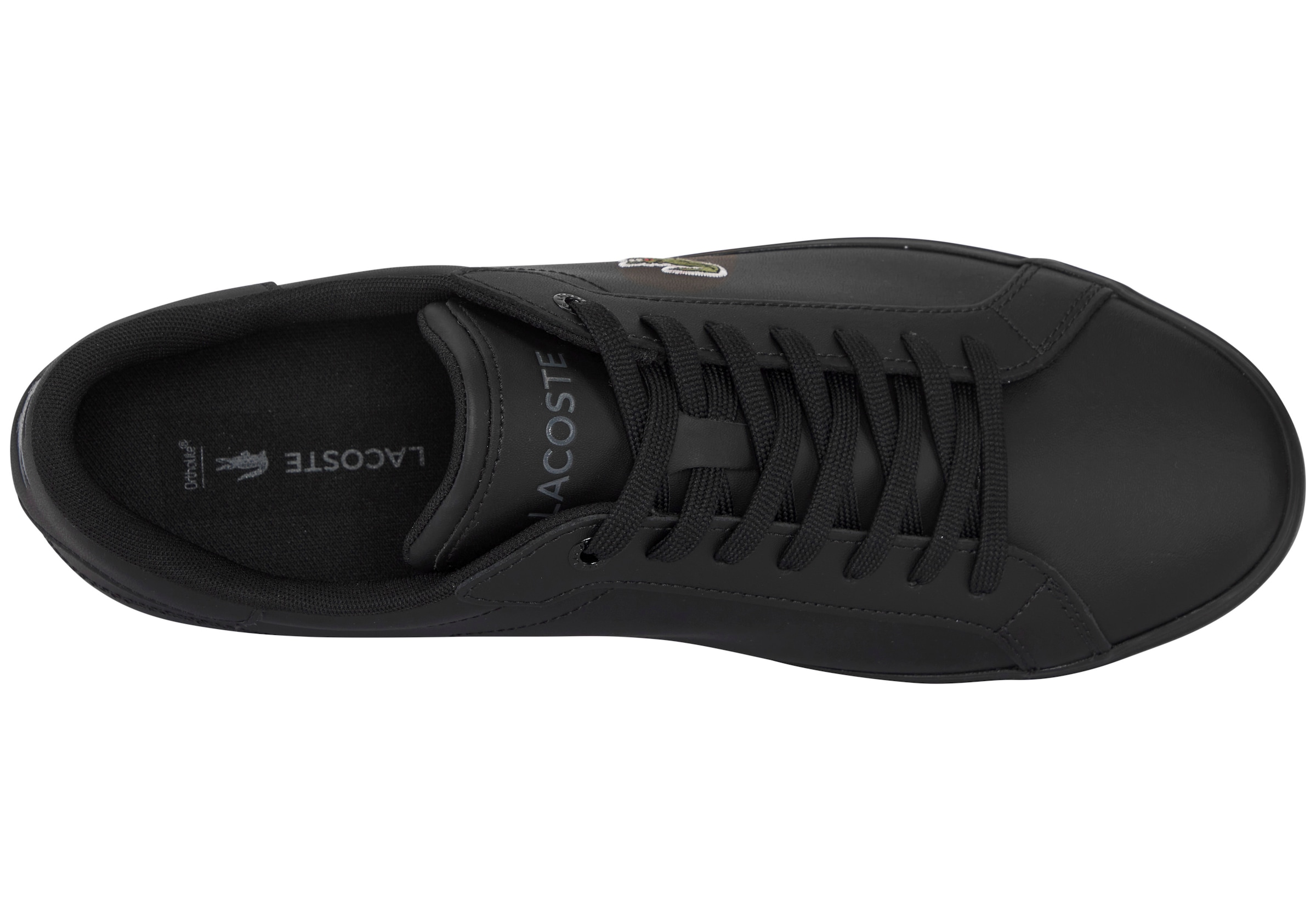 Lacoste Sneaker »POWERCOURT«
