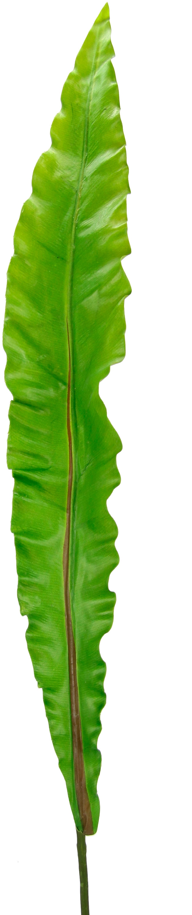 I.GE.A. Plante artificielle »Nestfarnblatt« Monstera, Kunstzweig, 3er Set