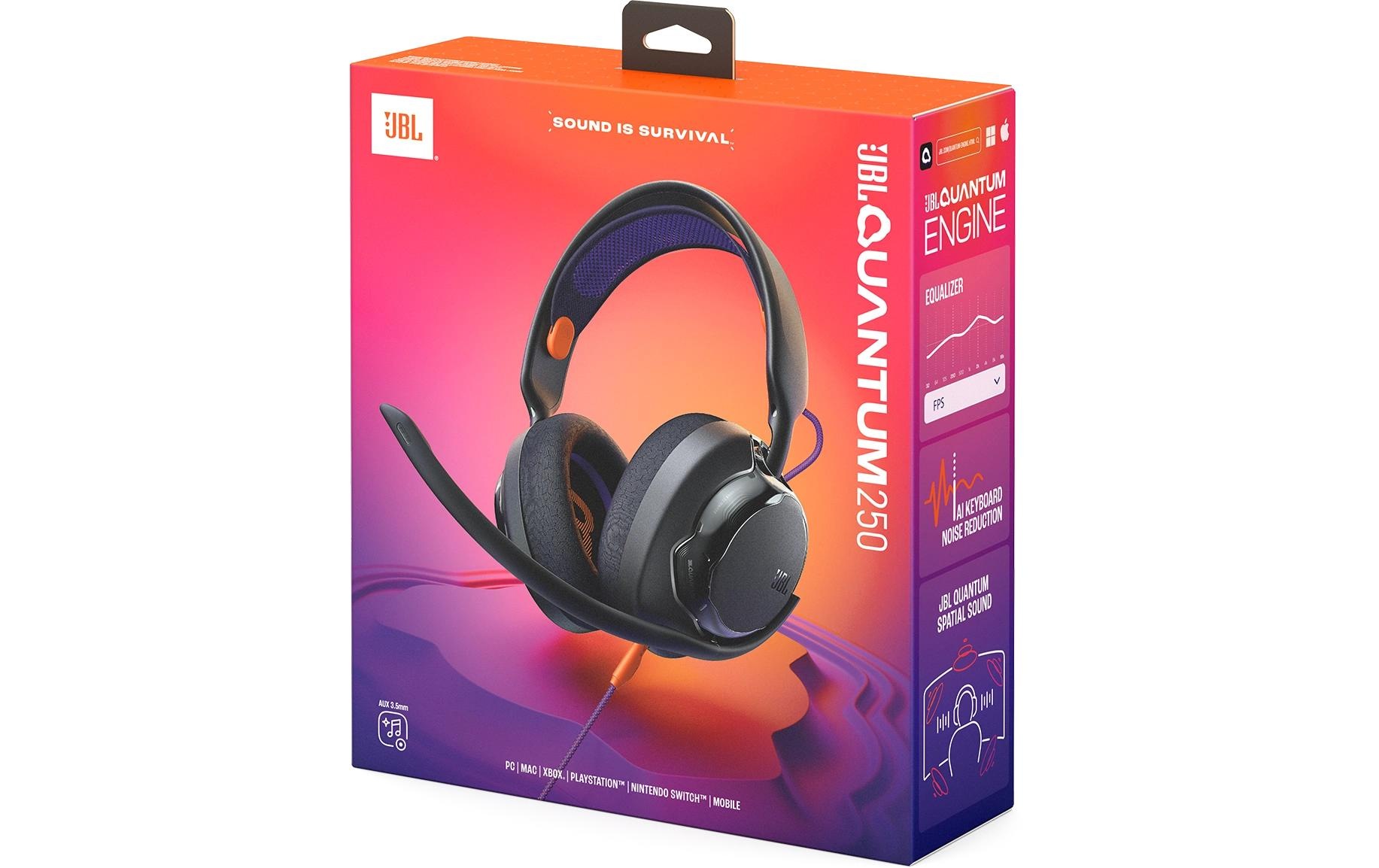 JBL Gaming-Headset »Quantum 250« Mikrofon abnehmbar