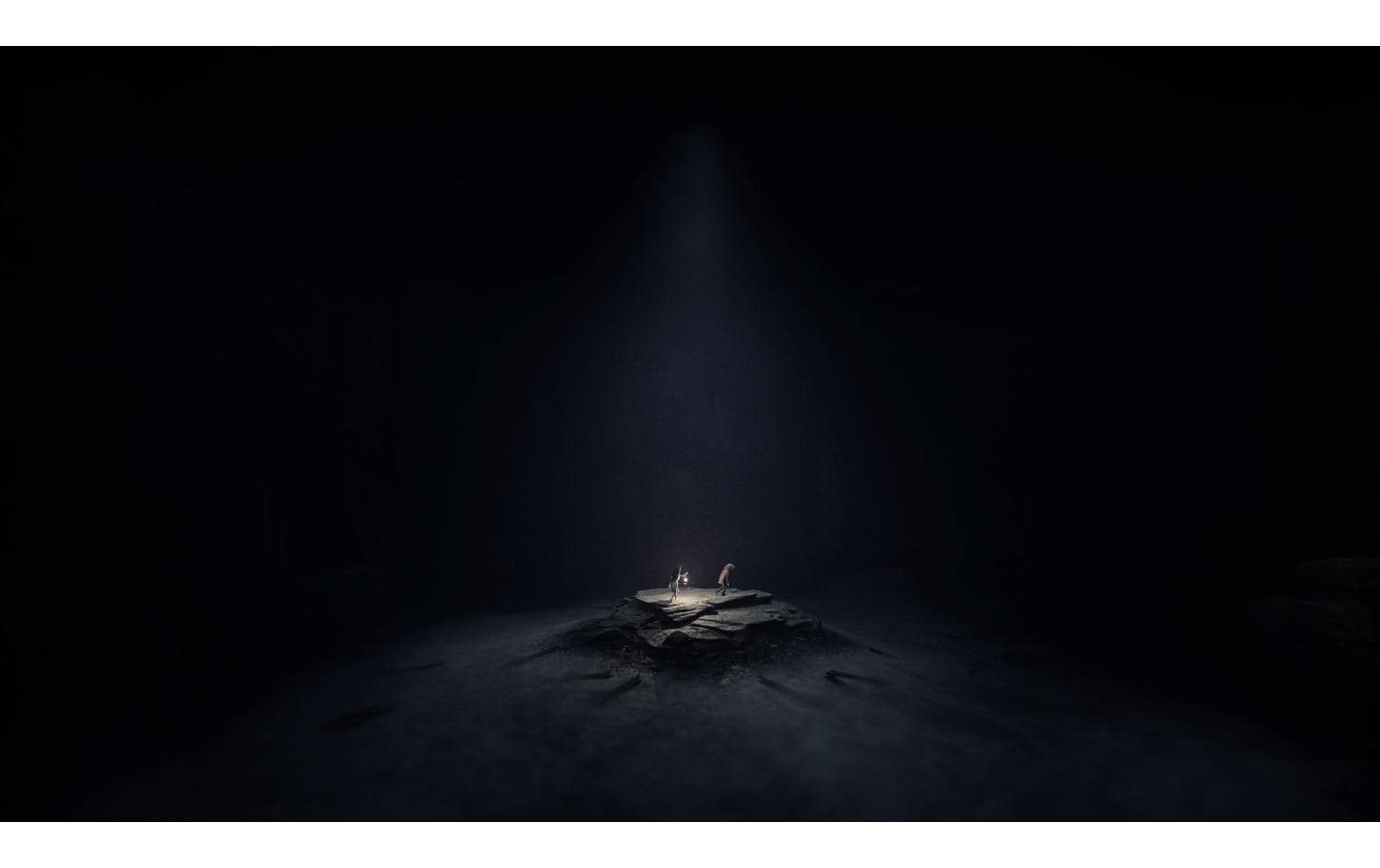   Spielesoftware »Reanimal (Box)«