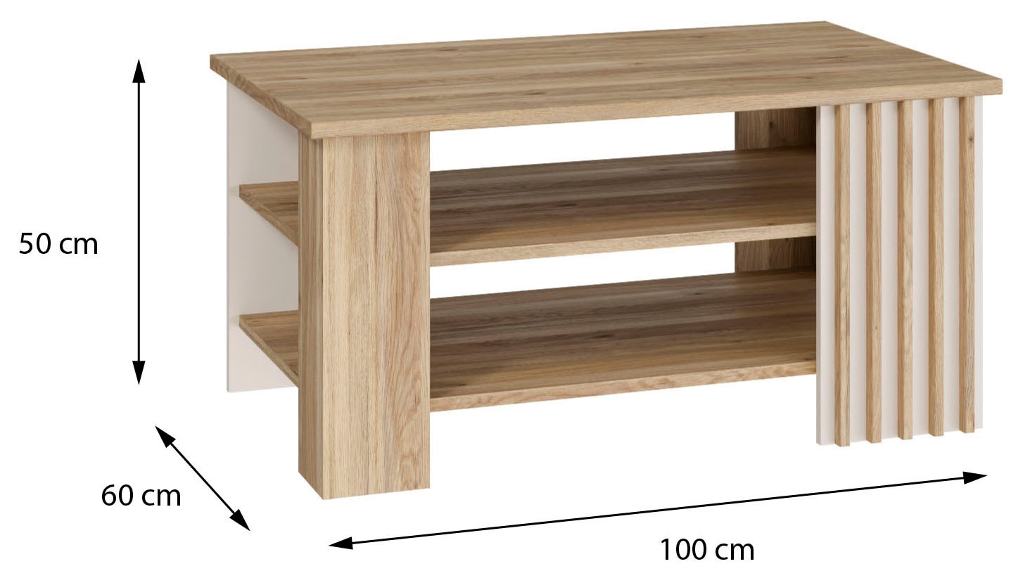 FORTE Table basse »Forte Arank Coffee Table 100x50, 2 Ablageböden« L/H/P 100/50/60 cm, aspect lamelles