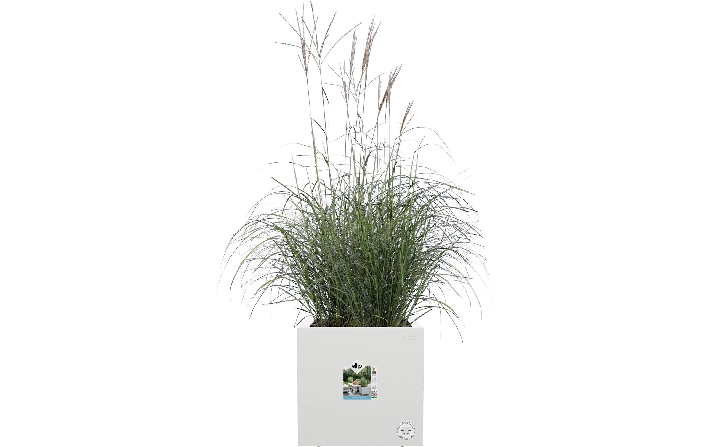 Elho Pot de fleurs »Next Quadrat 30 cm«