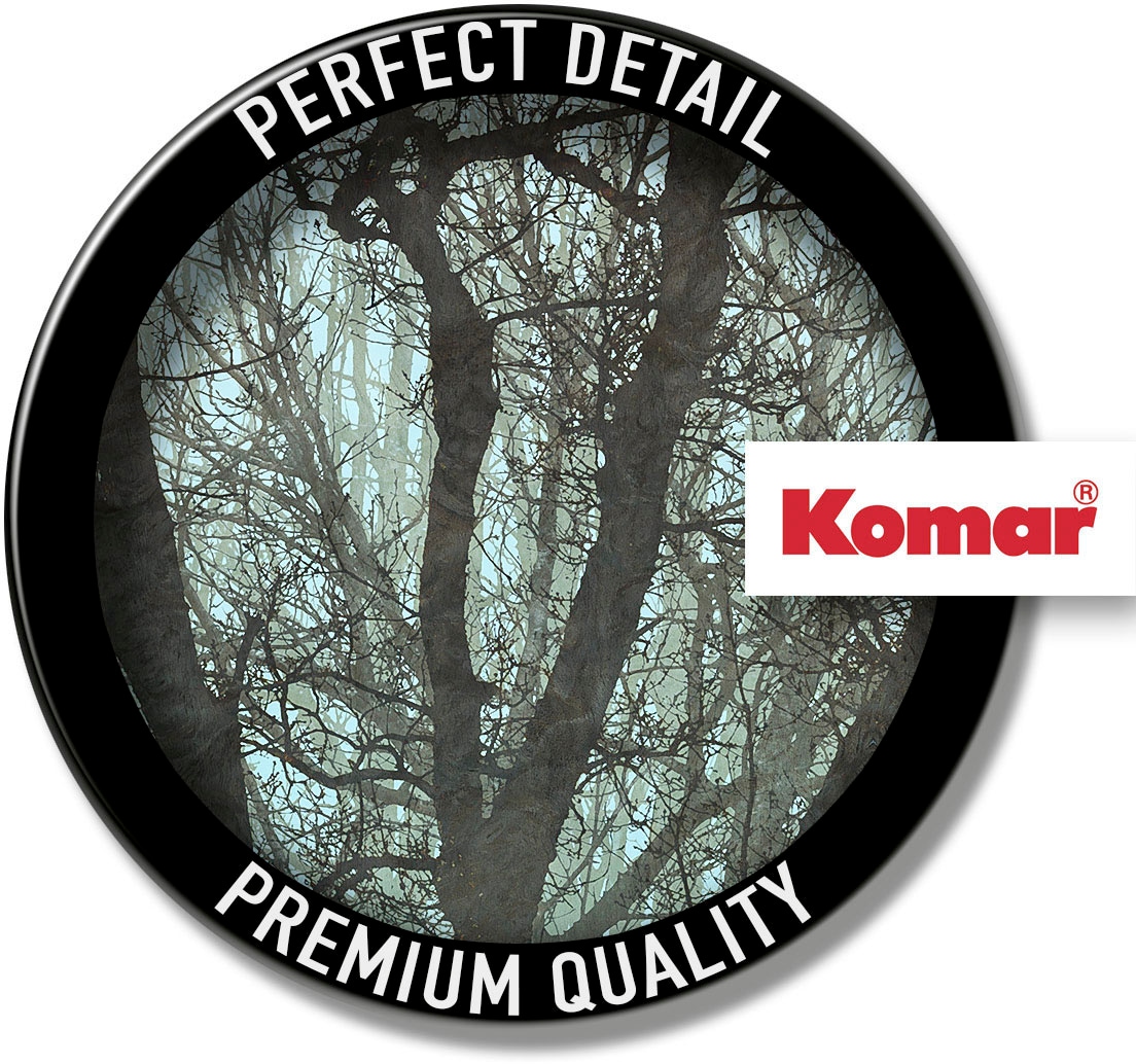 Komar Papier peint intissé »Digitaldruck Vlies -  Whispering Woods - Grösse 400 x 250 cm« imprimé Wohnzimmer, Schlafzimmer