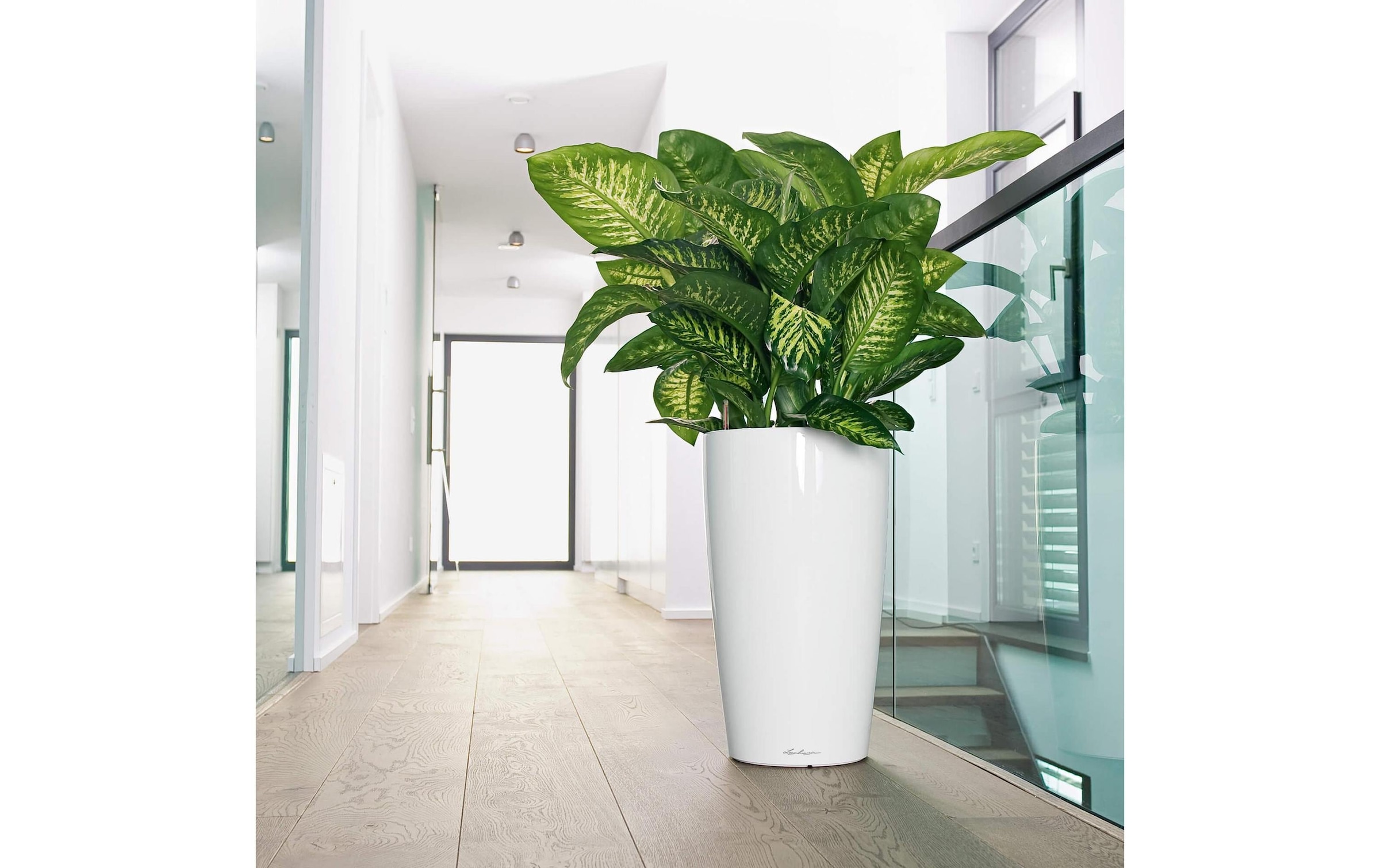   Blumentopf »Lechuza RONDO Premium 40«