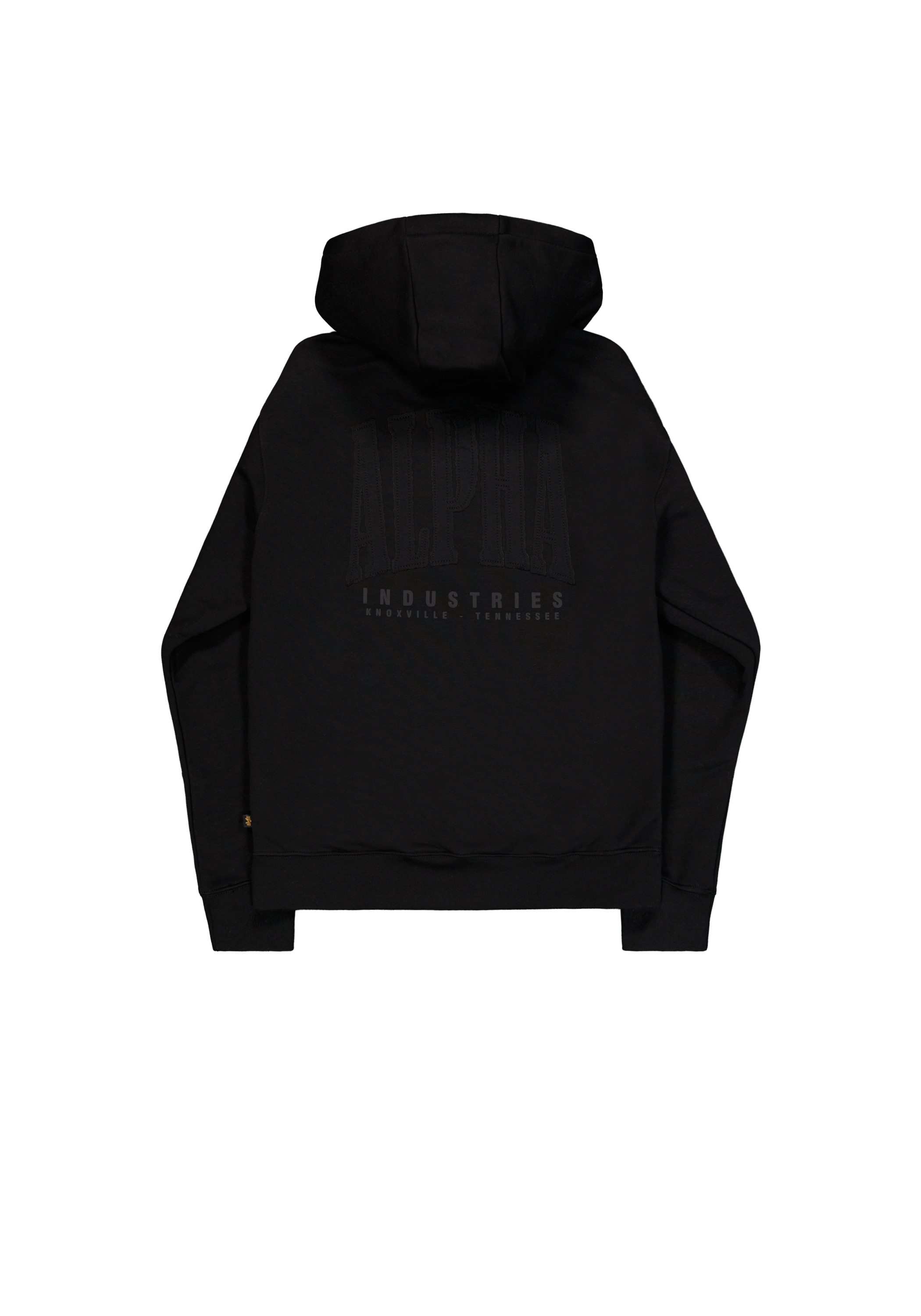 Alpha Industries Hoodie »Coach Hoodie Backprint «
