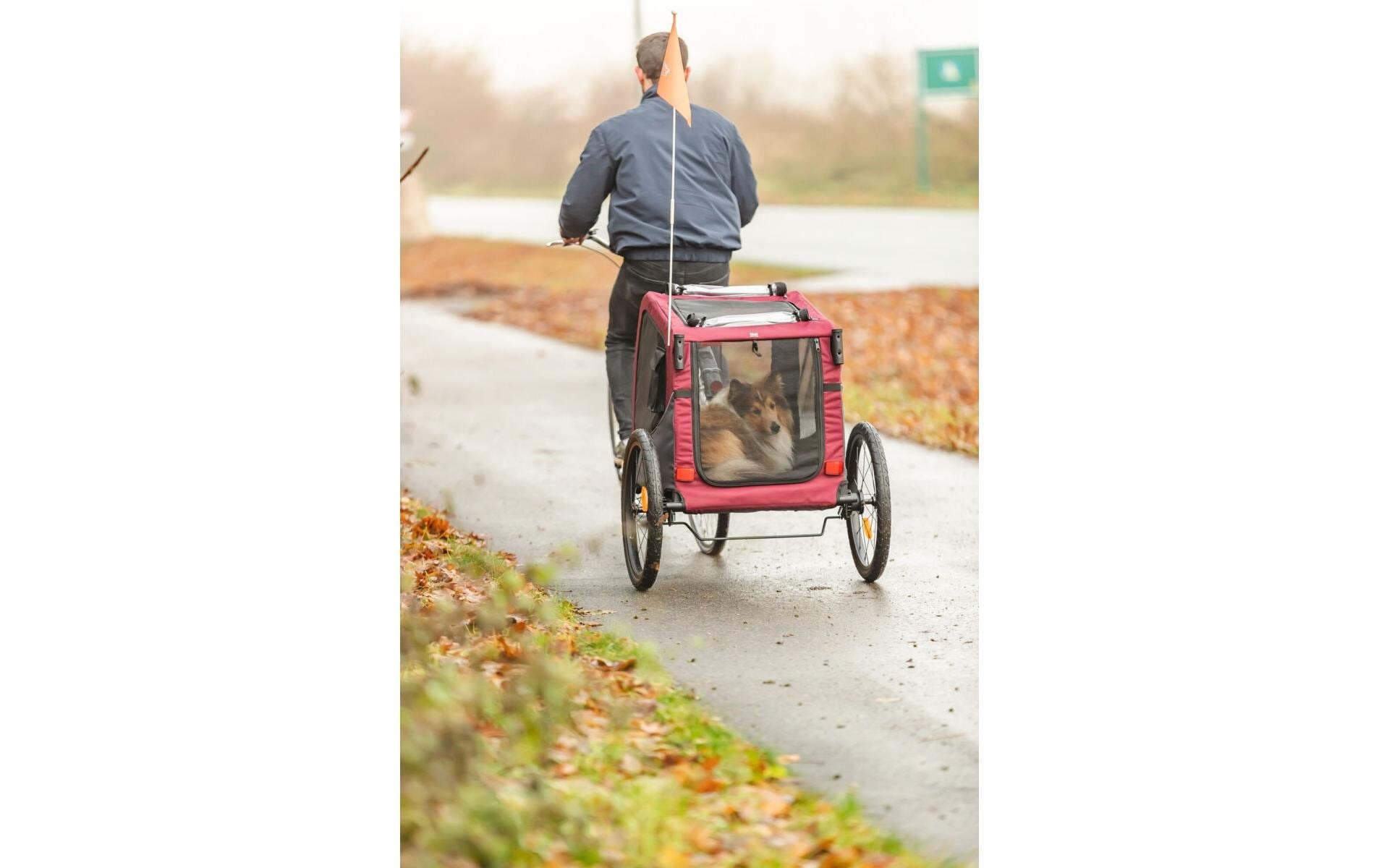 TRIXIE Fahrradhundeanhänger »63 x 68 x 75/137 cm« Fahrradanhänger in Grösse M  für Hunde bis 22 kg
