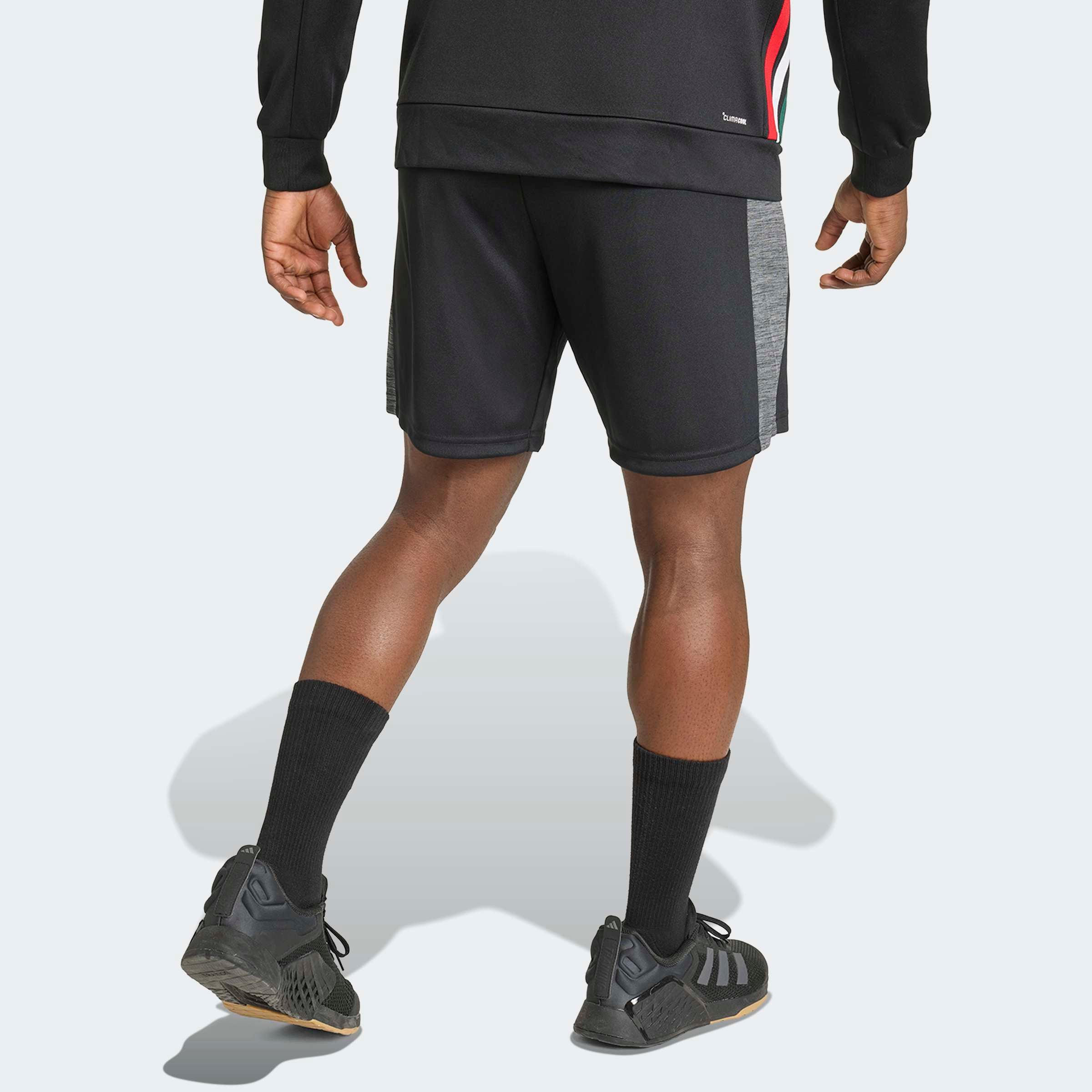 adidas Performance Short »WORKOUT ESSENTIALS ALL-SET«