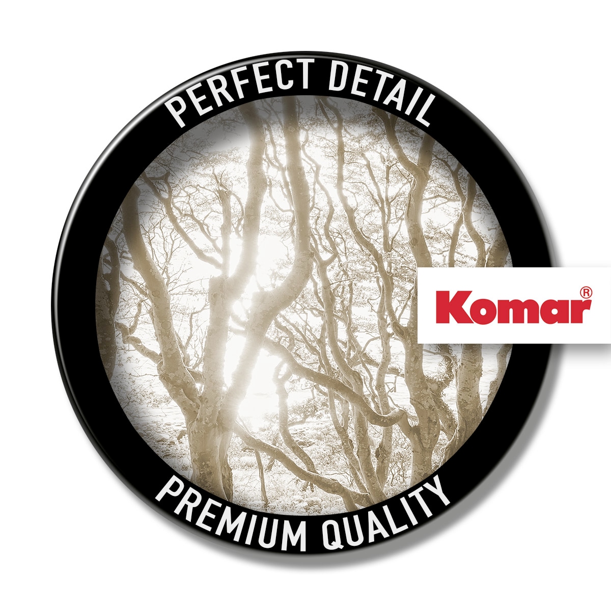 Komar Papier peint photo »Digitaldruck Vlies -  Bleached Birch - Grösse 400 x 250 cm« floral | floral | imprimé | tropical | à motifs lisse Wohnzimmer, Schlafzimmer