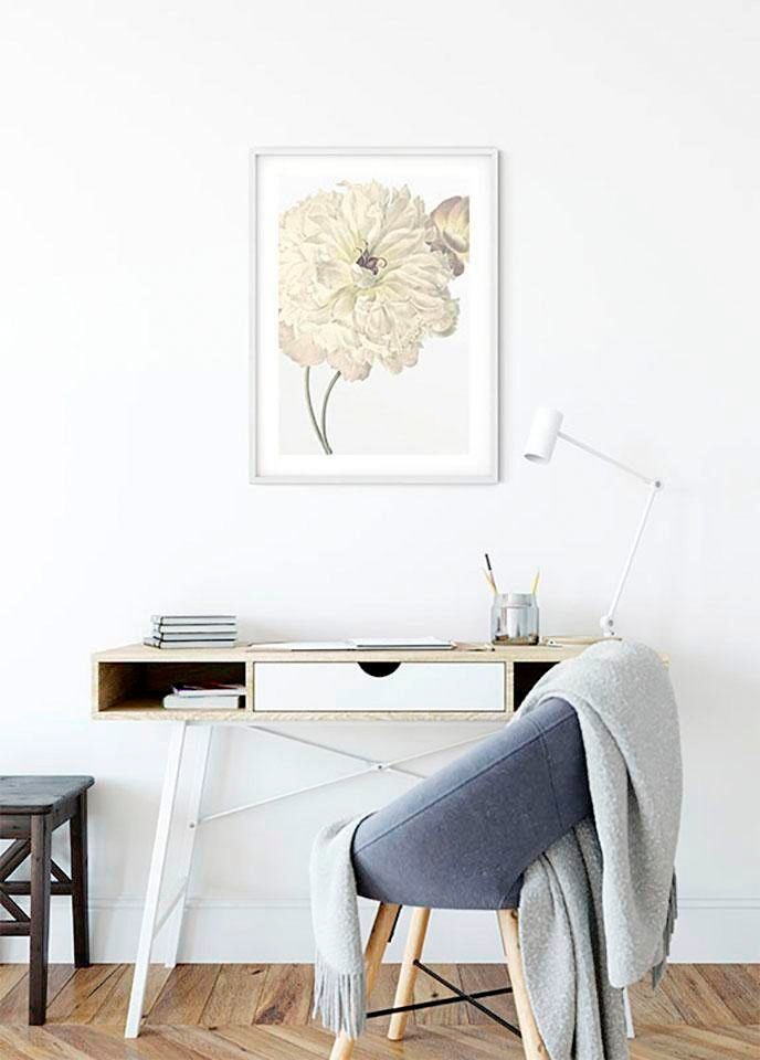 Komar Image »Illustration Dahlia« 1 cuis tlg. Wandbild zur Dekoration - ohne Rahmen