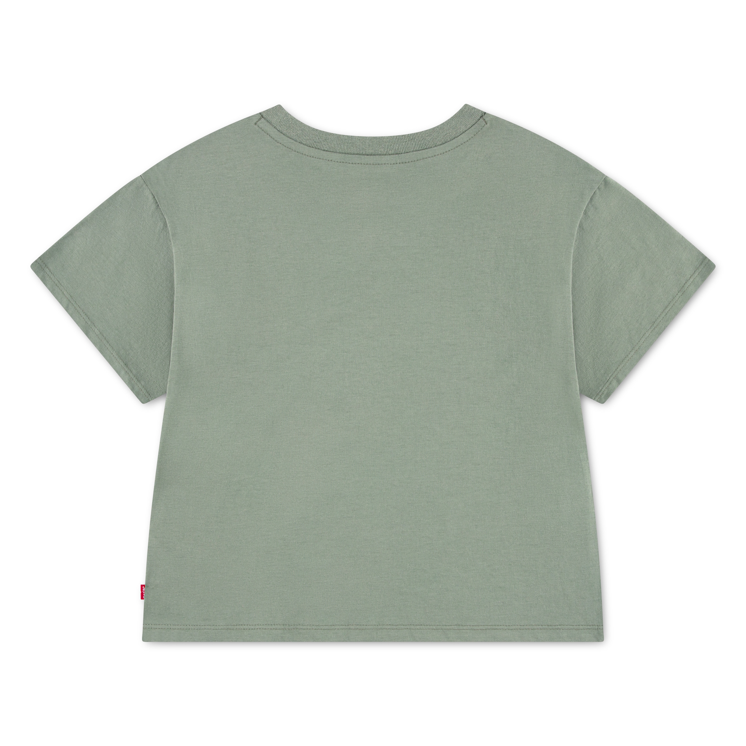 Levi's® Kids T-Shirt »LVG FLOWER MARKET OVERSIZED TE« mit Flower-Print