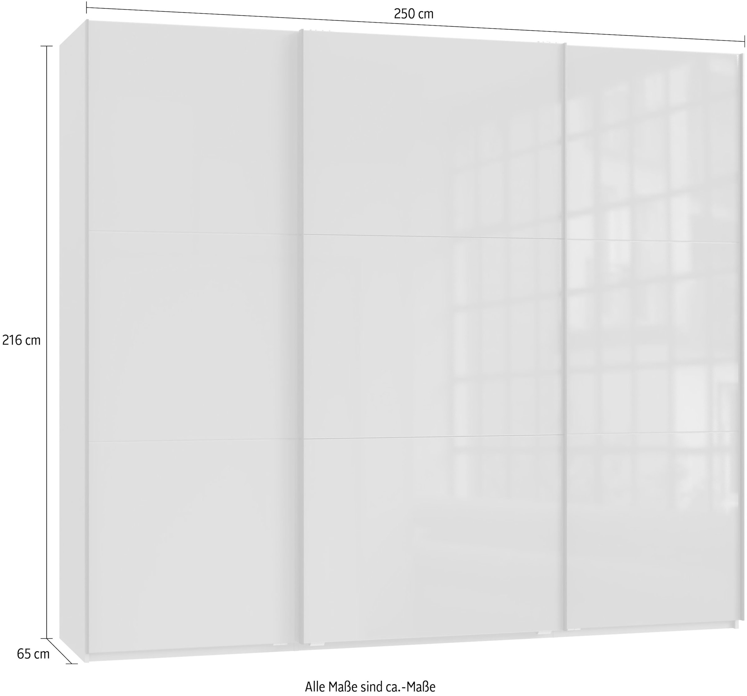 Wimex Kleiderschrank »Indiana by fresh to go, wahlweise mit oder ohne Spiegel« INKLUSIVE Innenausstattung und Selbsteinzug für die Türen,  grosse Breiten250 oder 300cm, mit oder ohne Glasfront, Made in Germany